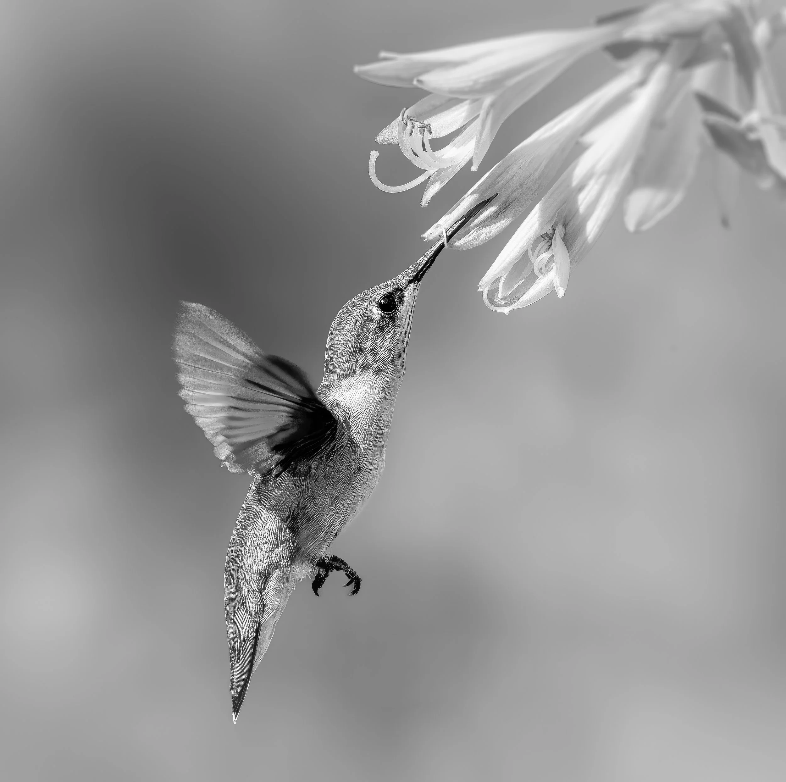 untitled-1-3.jpg