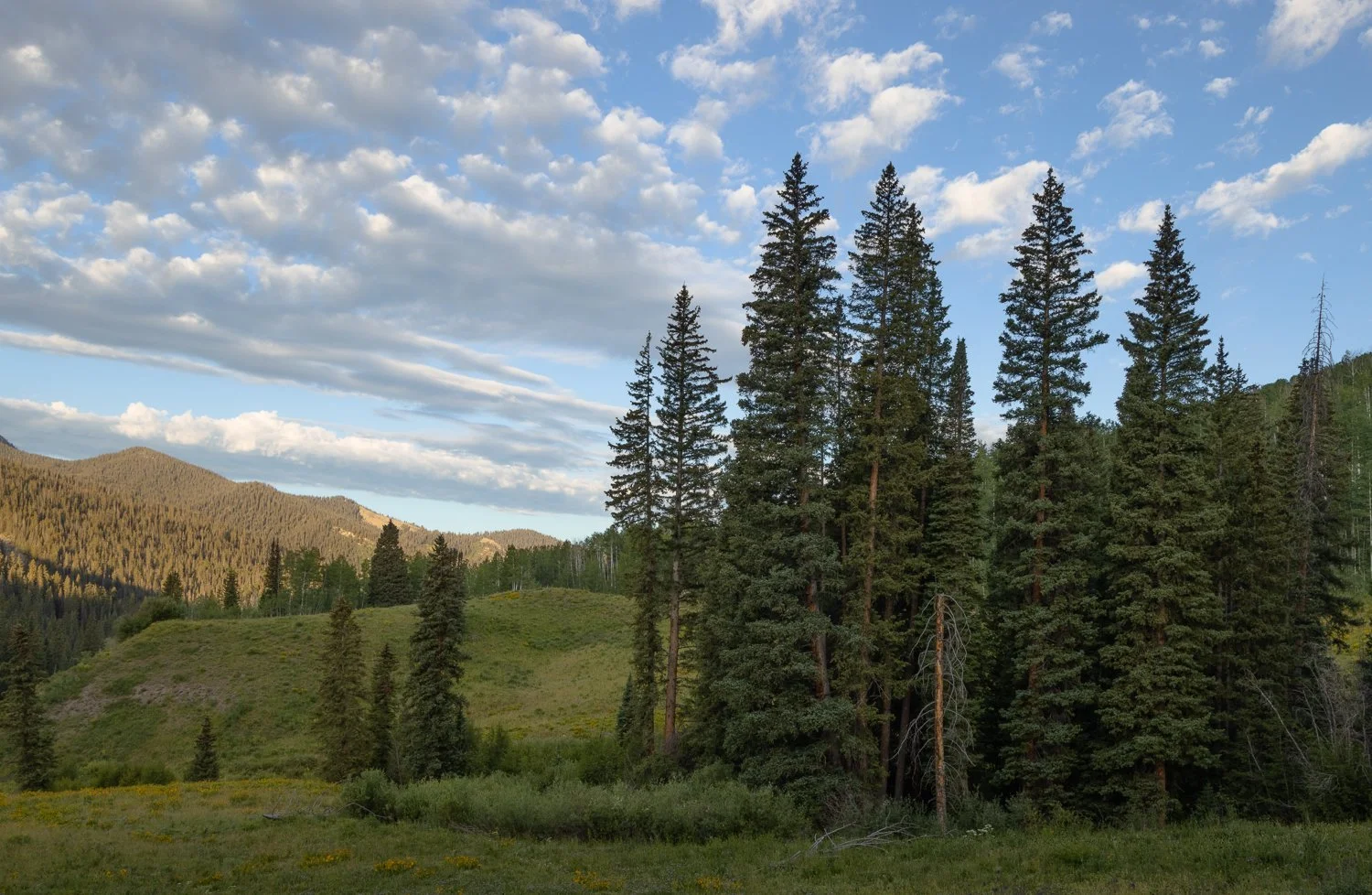 _U5A2277-5-HDR.jpg