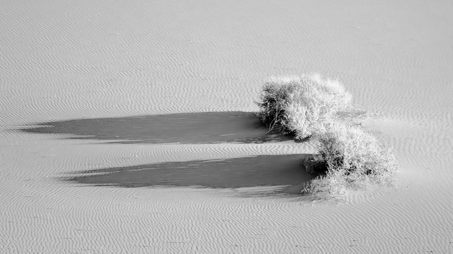 2026-03-28 20-36-39 (B,R8,S4).jpg