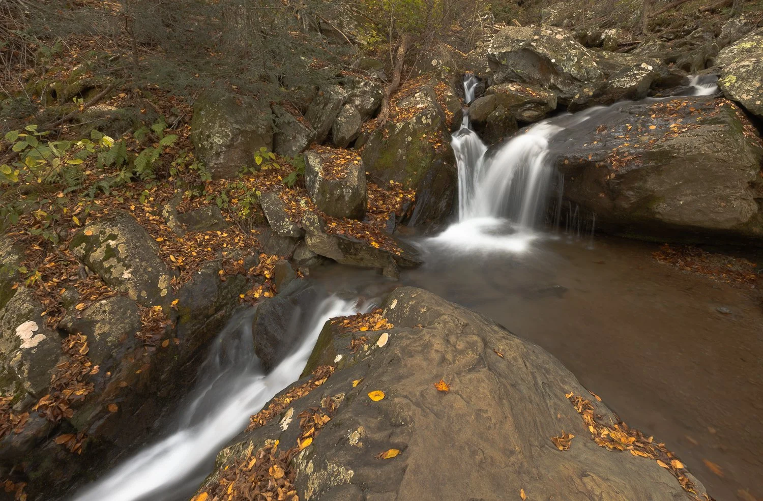 _U5A3746-45-HDR.jpg