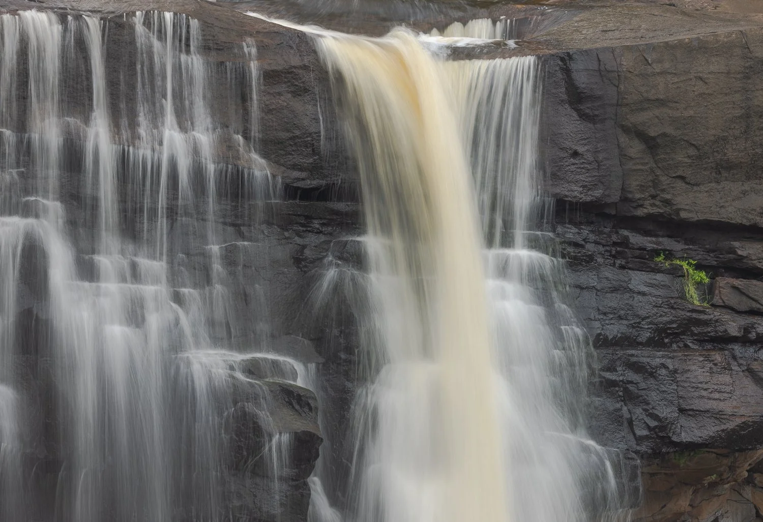 _O7A0716-5.jpg