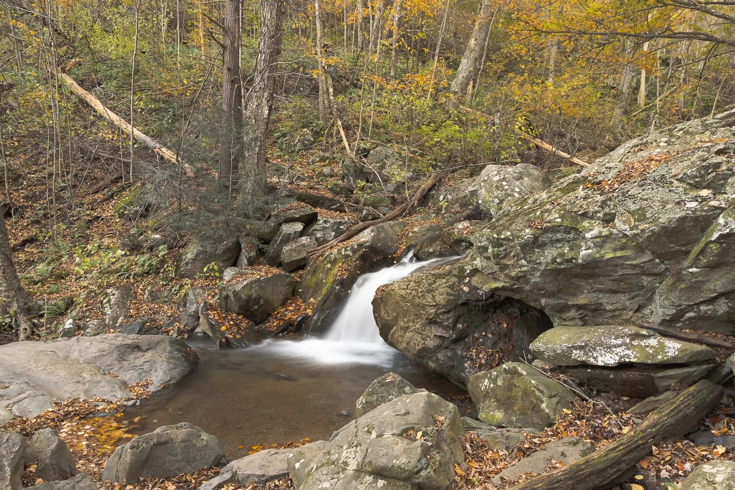 _U5A3718-17-HDR.jpg