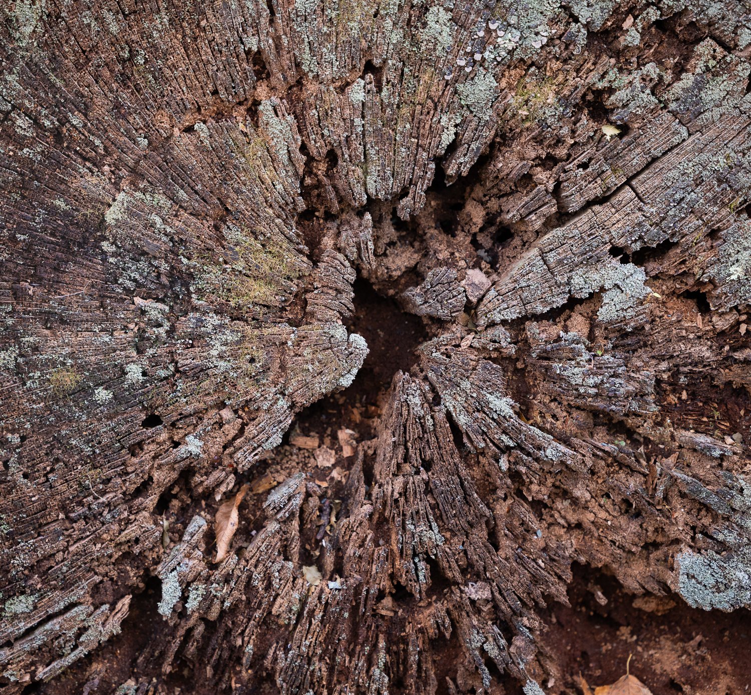 _U5A3607-43.jpg