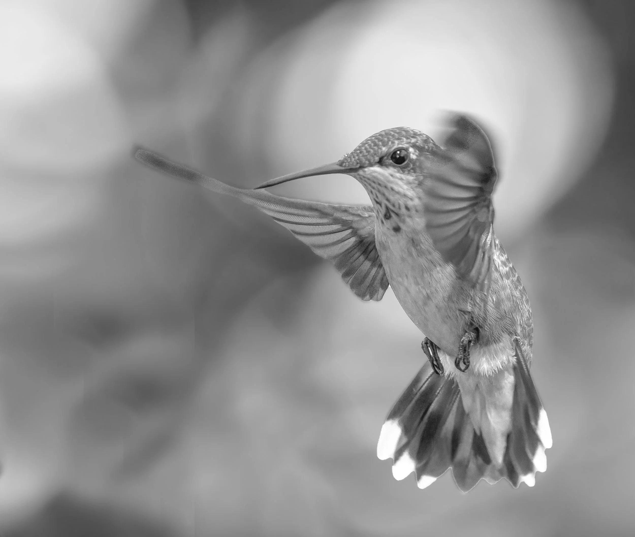untitled-1.jpg