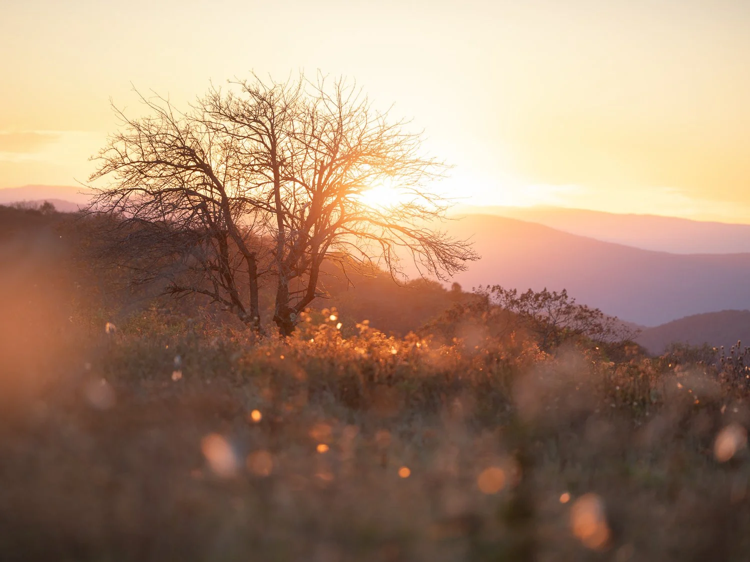_U5A3696-132-Edit.jpg