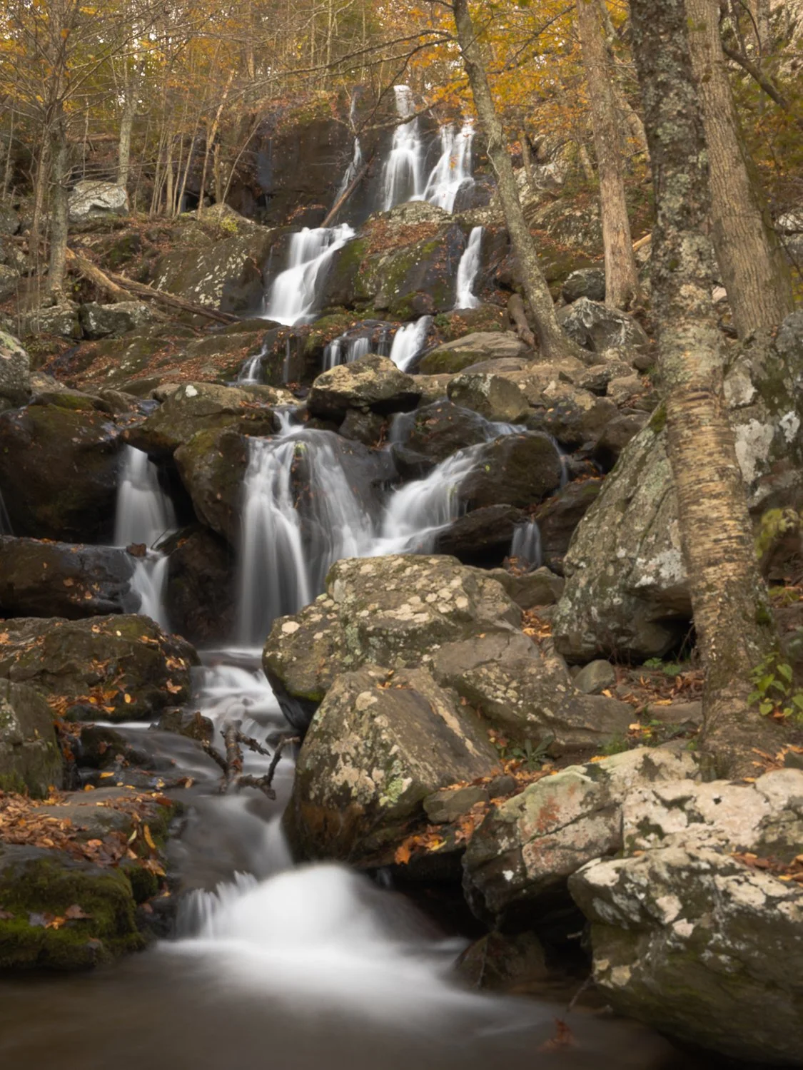 _U5A3706-5-HDR.jpg