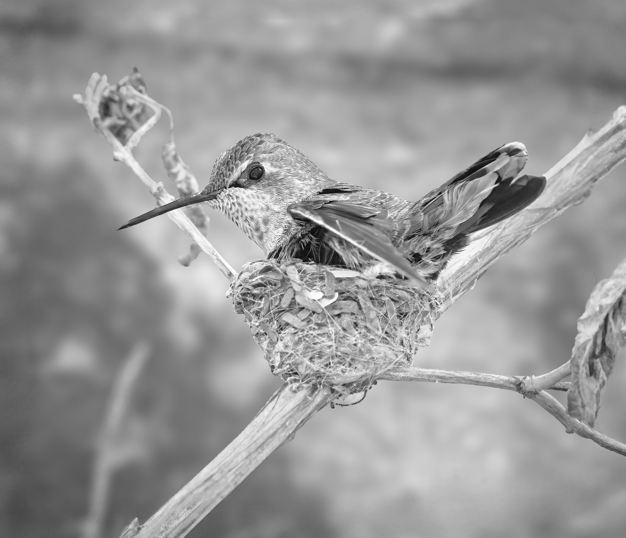 _U5A6687-27-Edit.jpg
