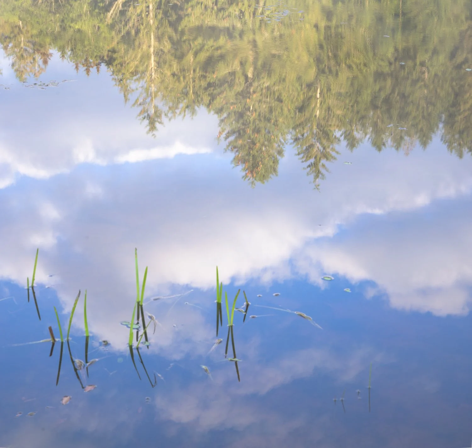 _U5A1864-201-HDR.jpg