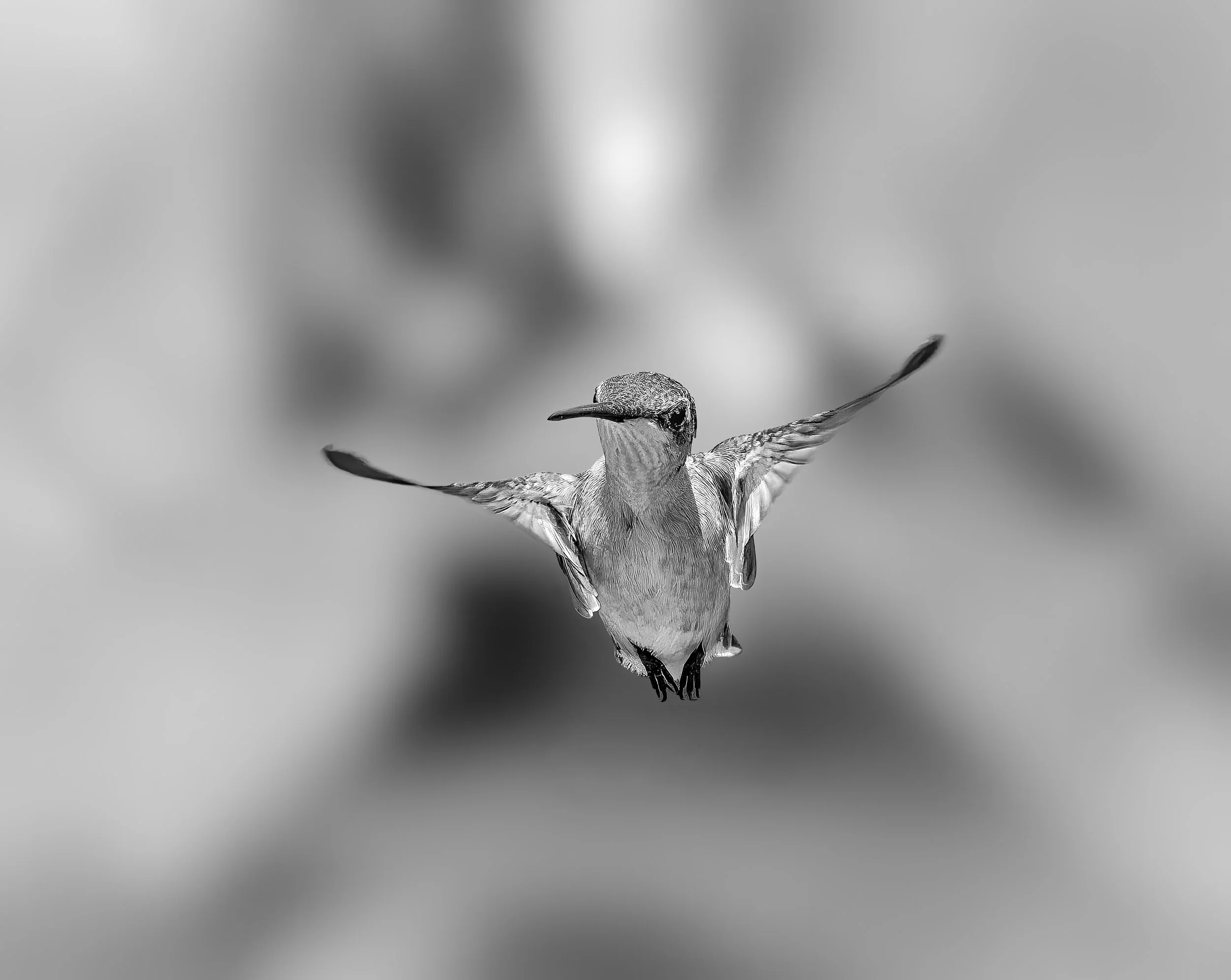 untitled-2.jpg