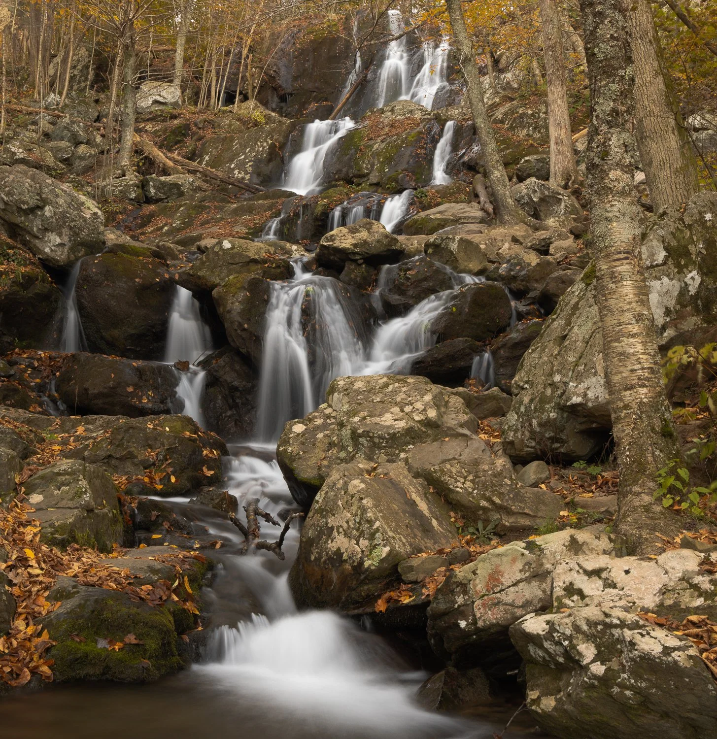_U5A3712-11-HDR.jpg
