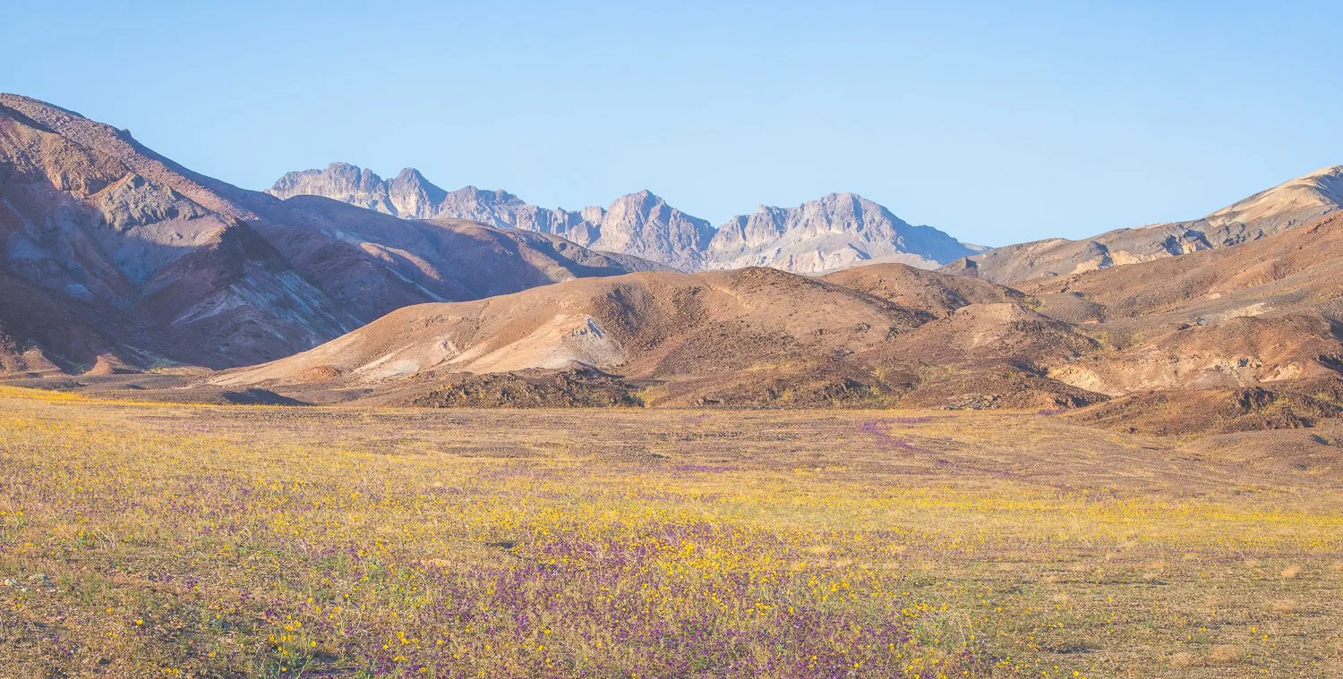 2026-03-06 17-41-44 (B,R8,S4).jpg