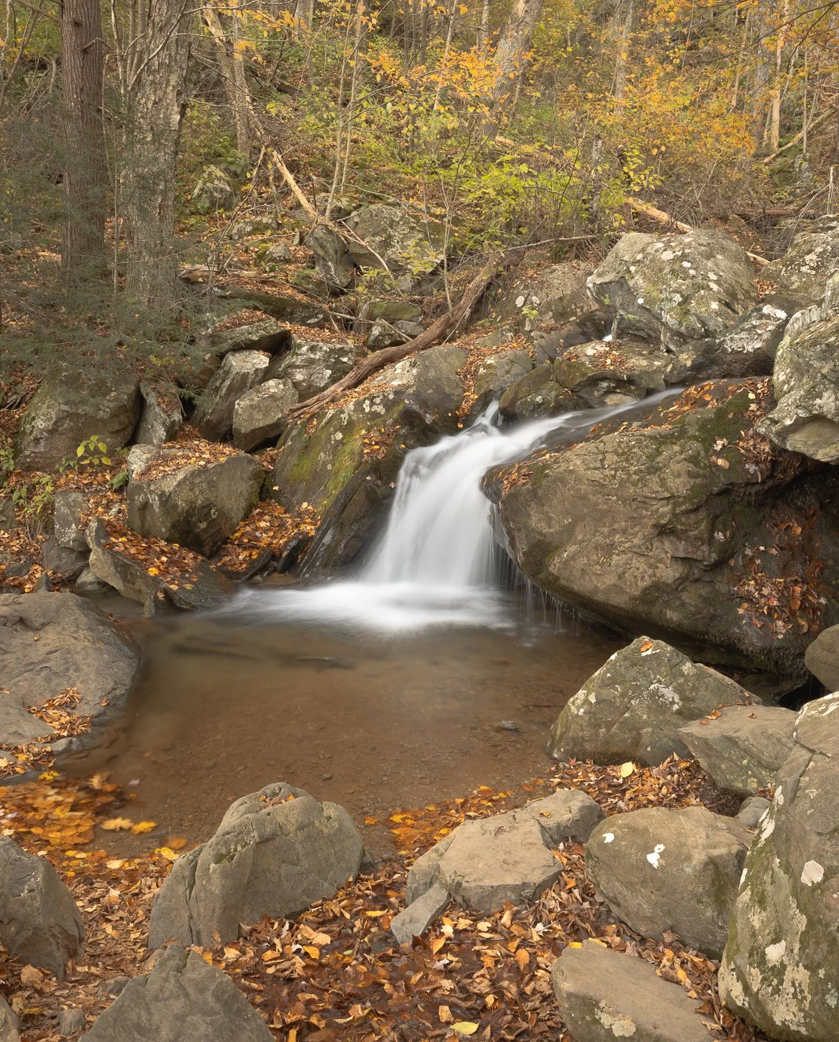 _U5A3733-32-HDR.jpg