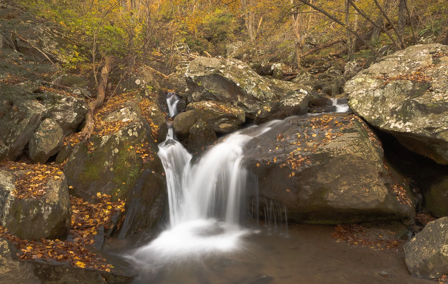 _U5A3737-36-HDR.jpg
