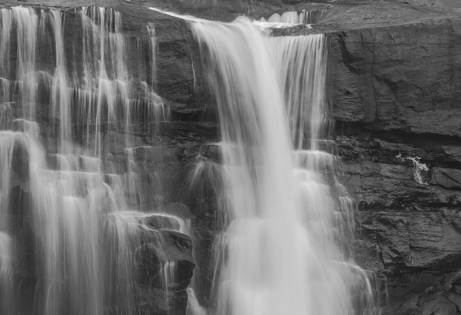 _O7A0716-5-2.jpg