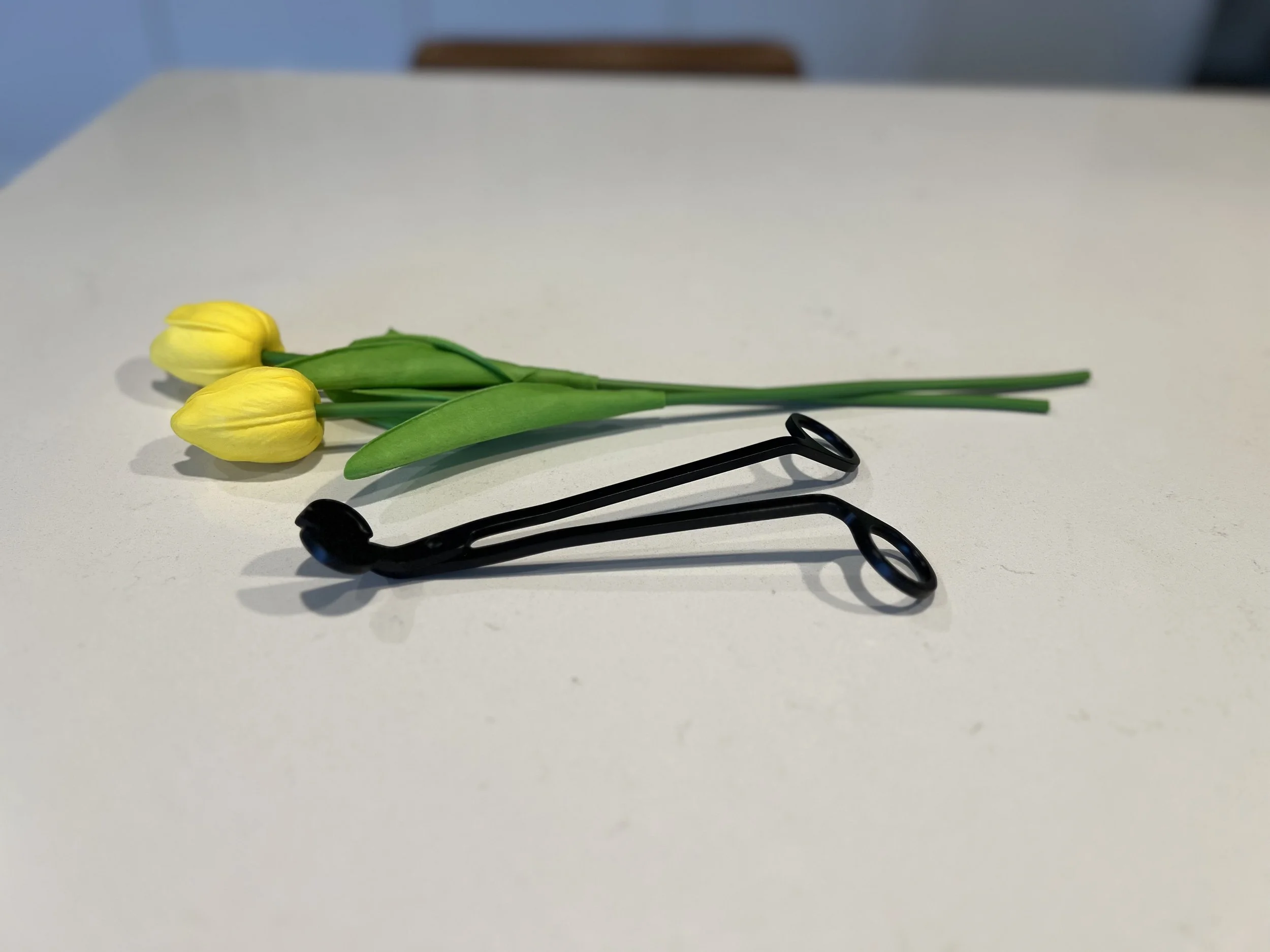 Wick Trimmer