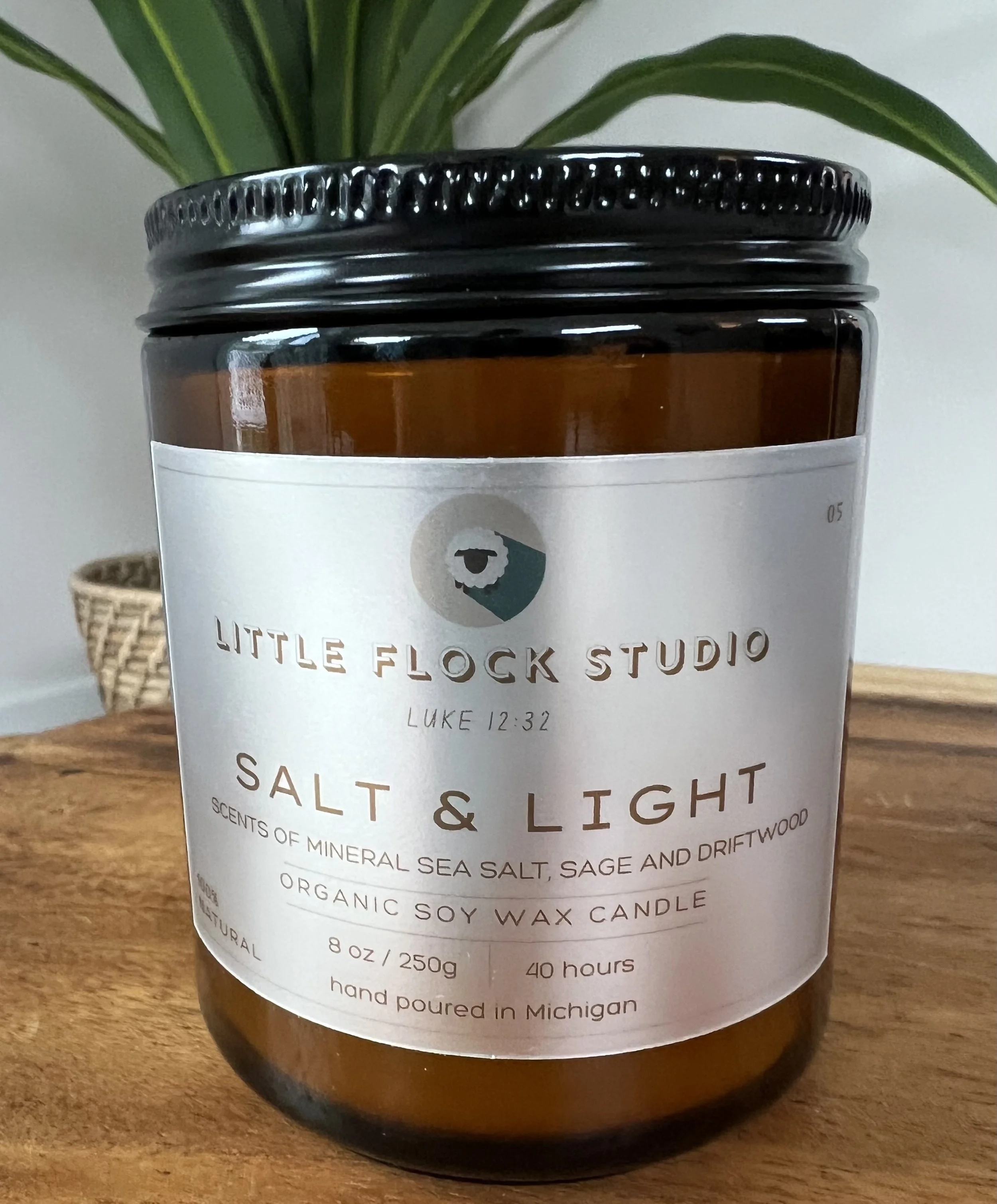 SALT & LIGHT