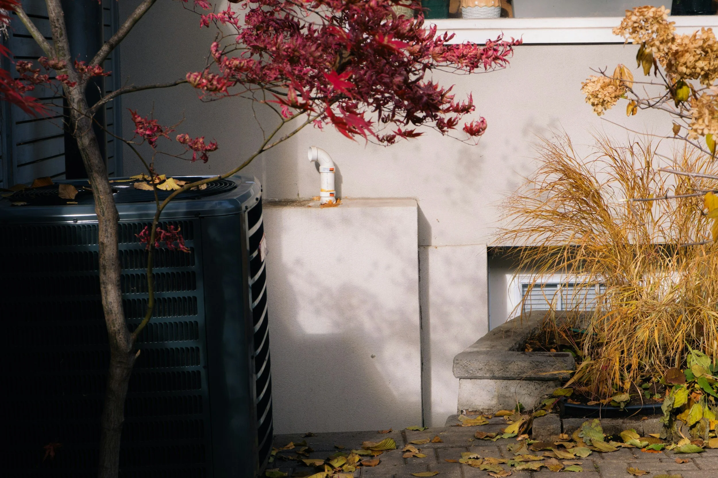 A residential outdoor scene in autumn with fallen yellow leaves on the ground, a small tree with reddish leaves, an air conditioning unit, a white wall with a pipe, and yellowish dried plants.