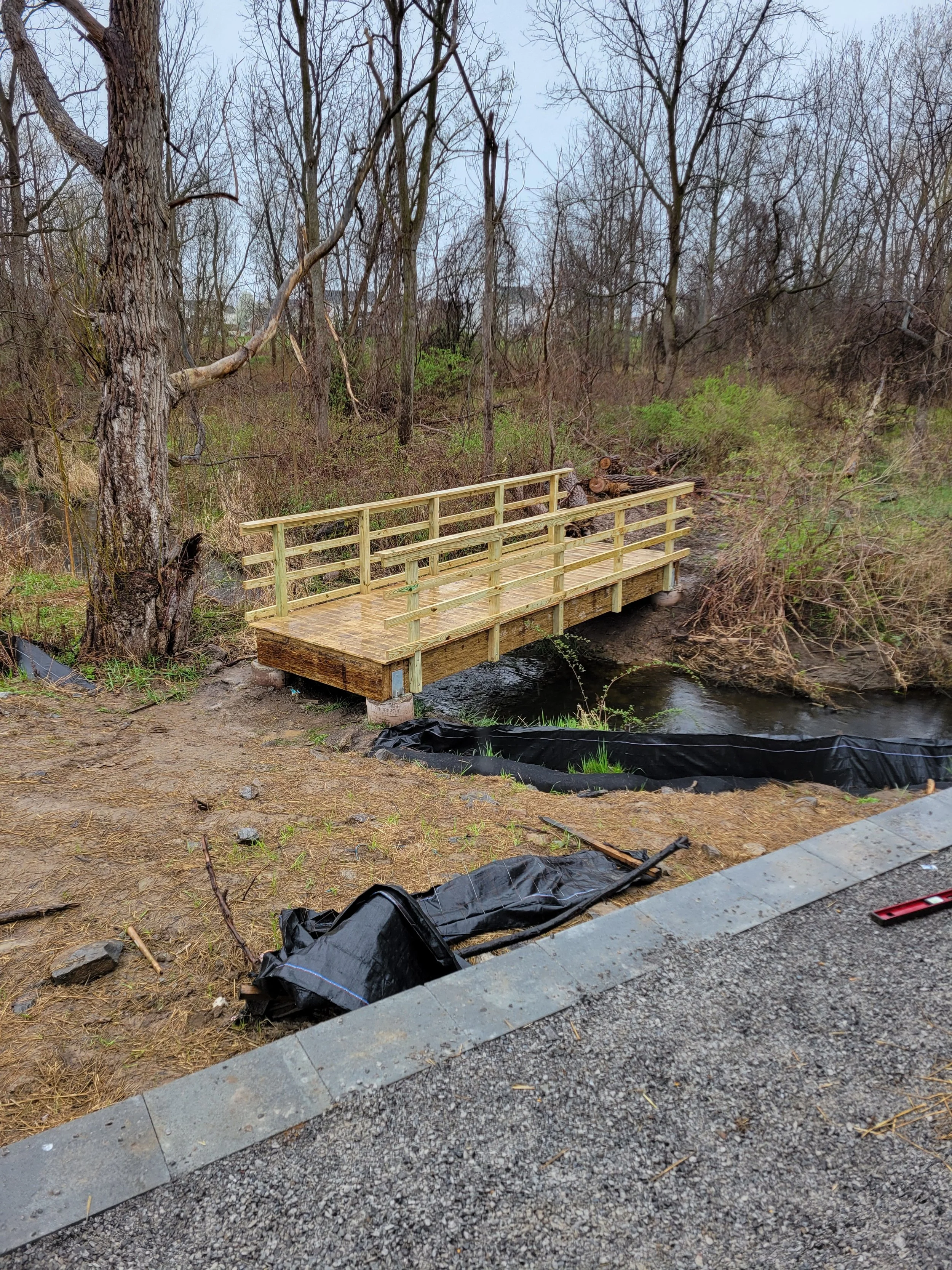 bridge.jpg