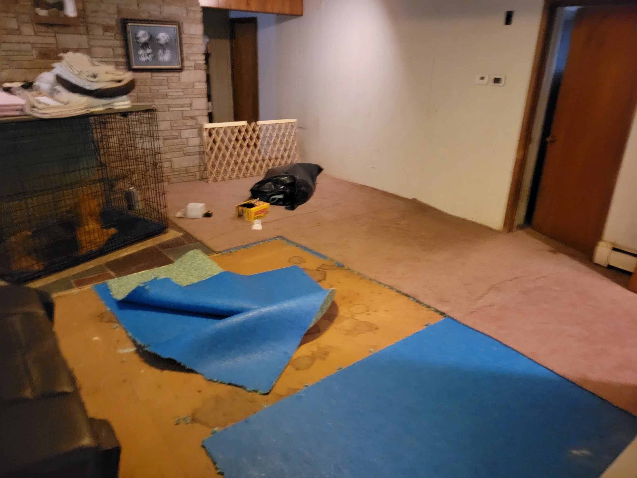 flooringb4.jpg