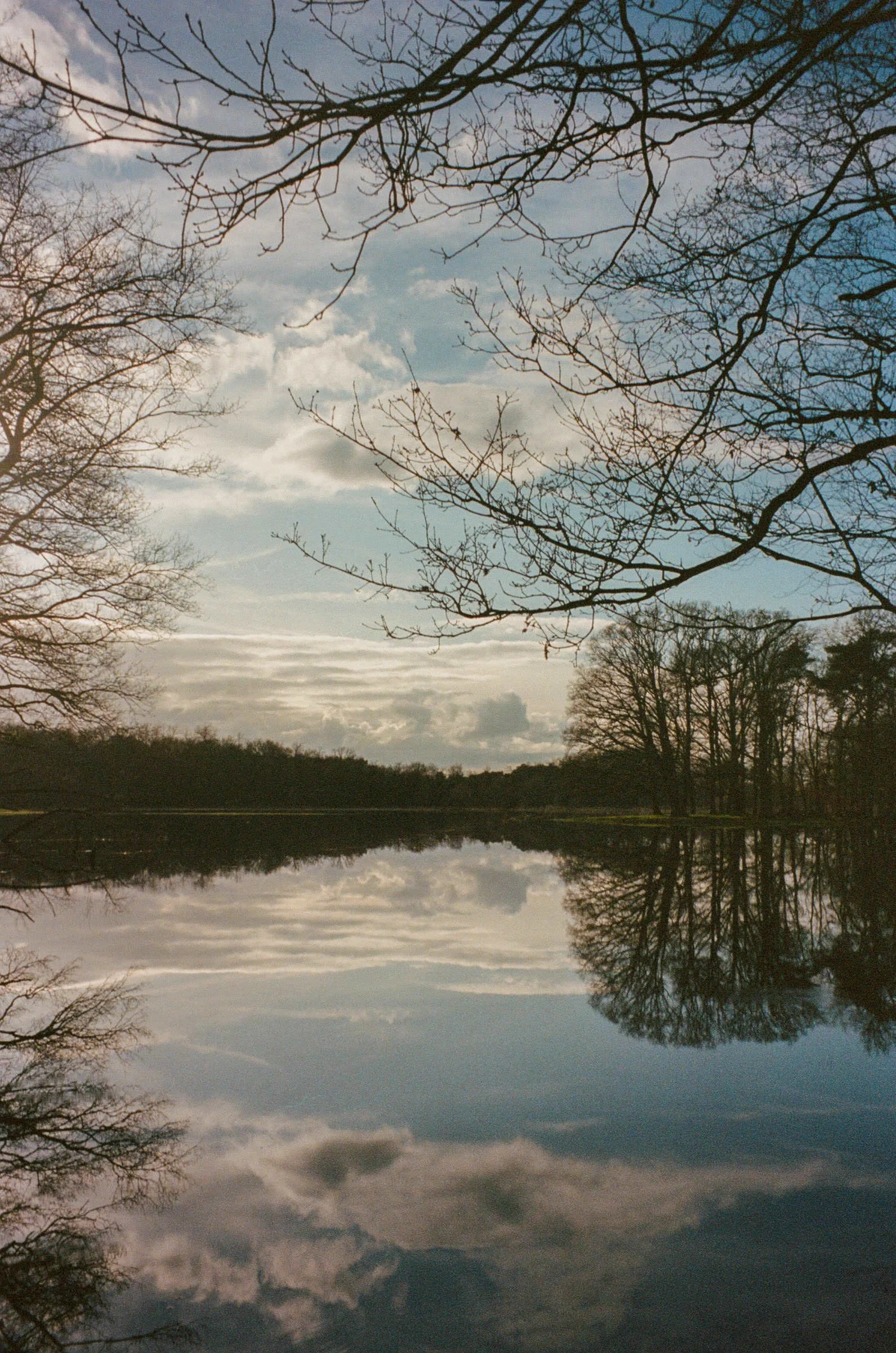 djanadjordjevic-photography-006.jpg
