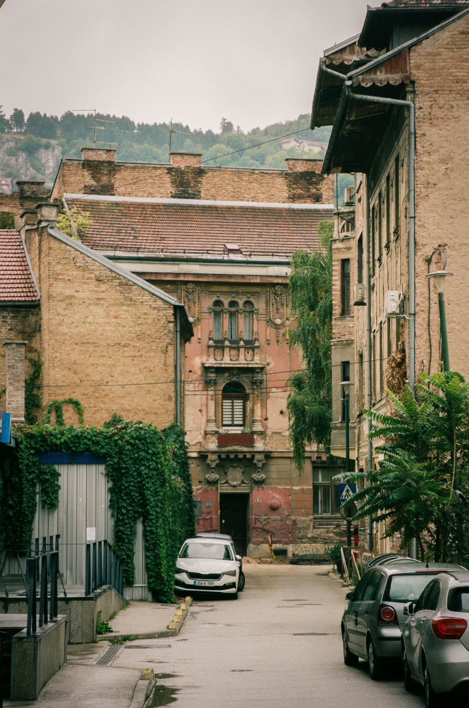 djanadjordjevic-photography-060.jpg