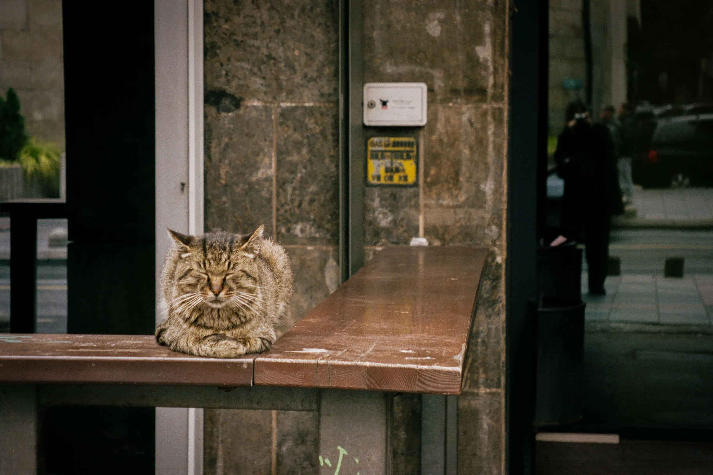 djanadjordjevic-photography-018.jpg