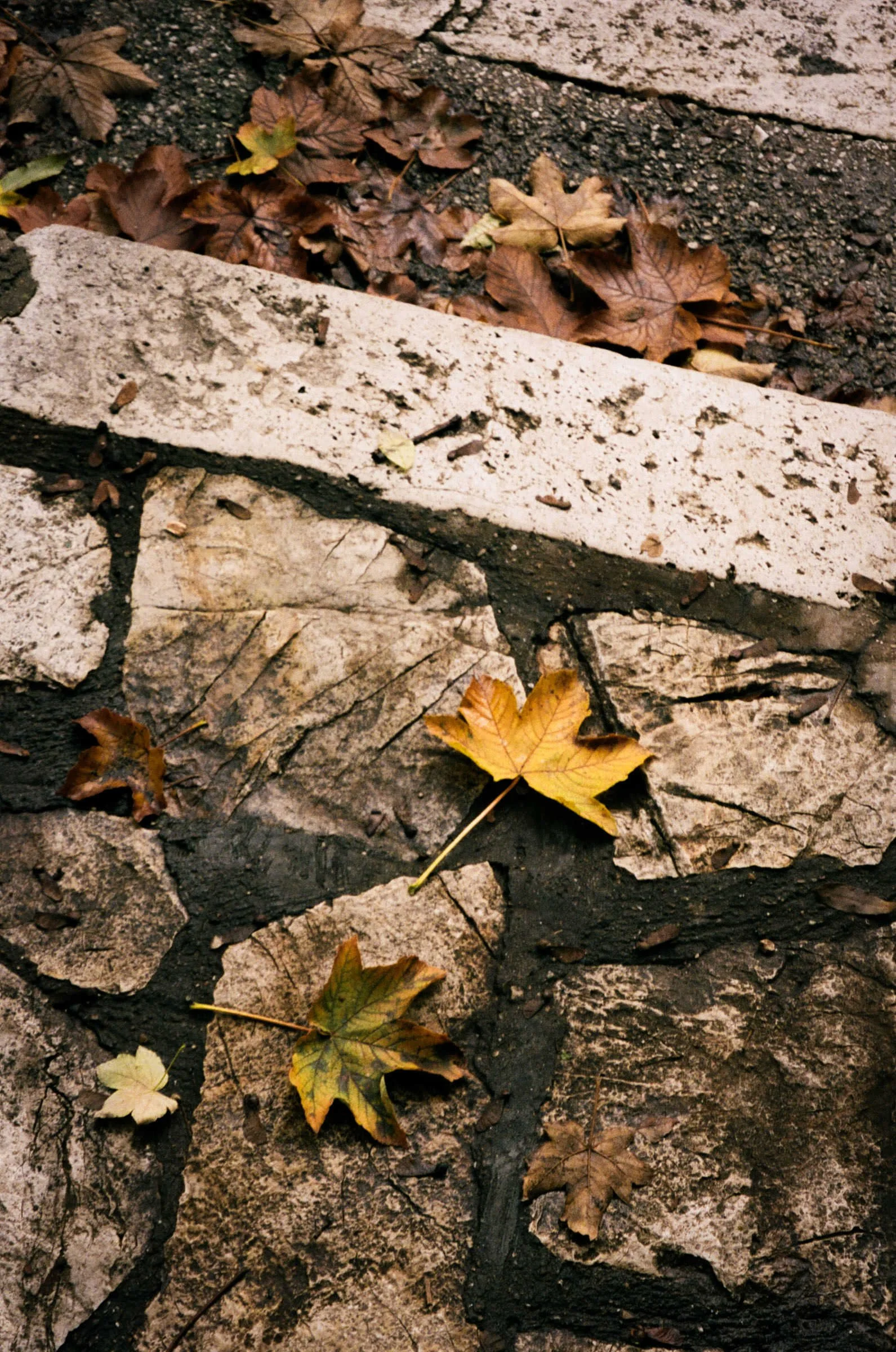 djanadjordjevic-photography-062.jpg