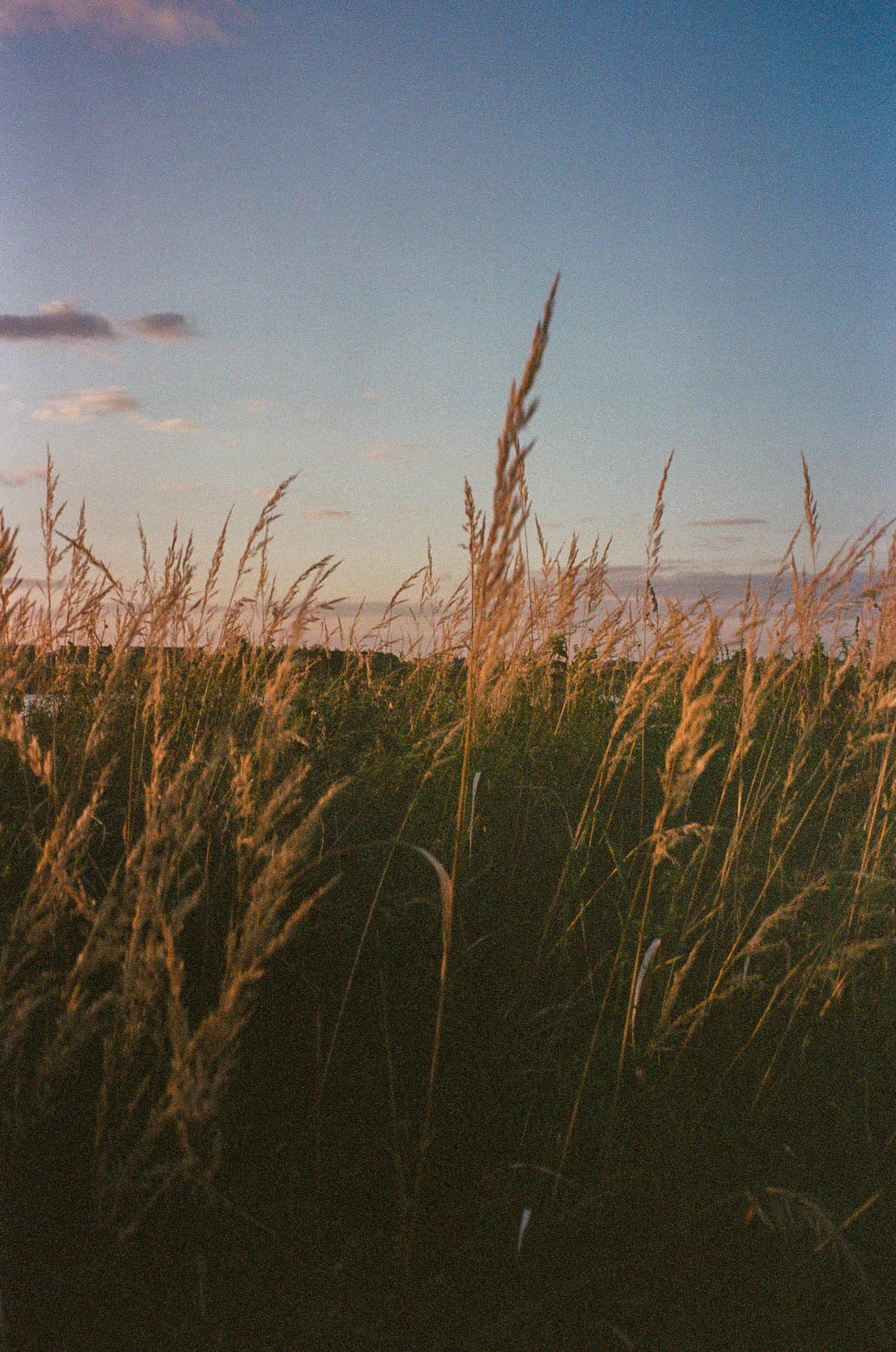 djanadjordjevic-photography-004.jpg