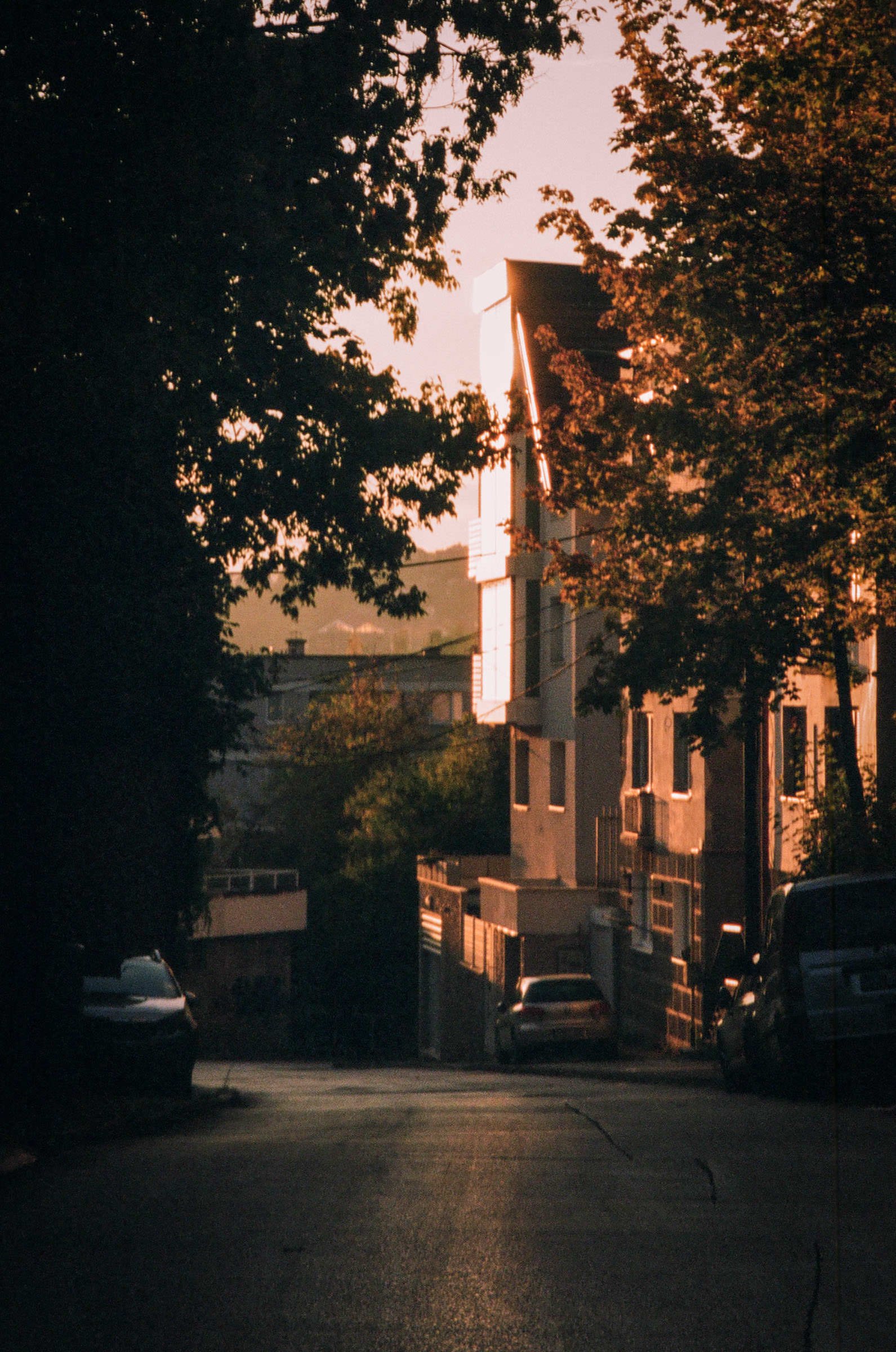 djanadjordjevic-photography-066.jpg