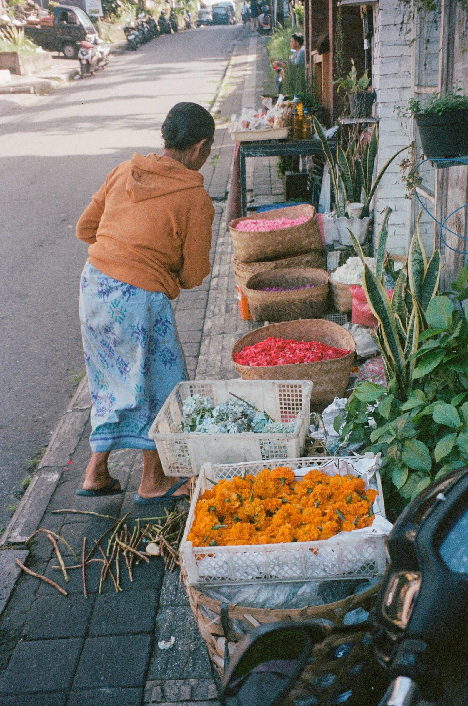 djanadjordjevic-photography-027.jpg