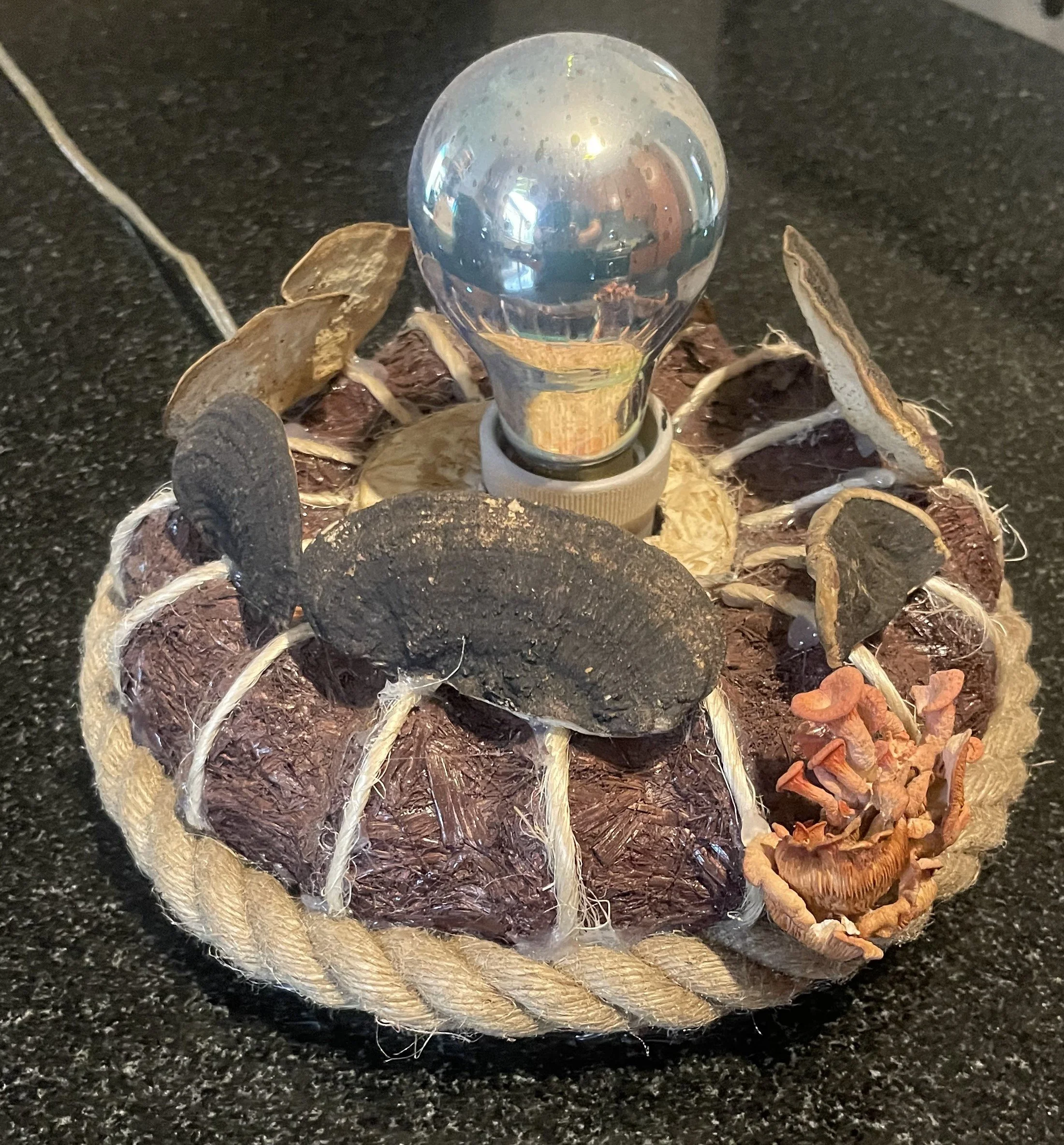 Mycellium Mushroom Side Table Lamp.JPG