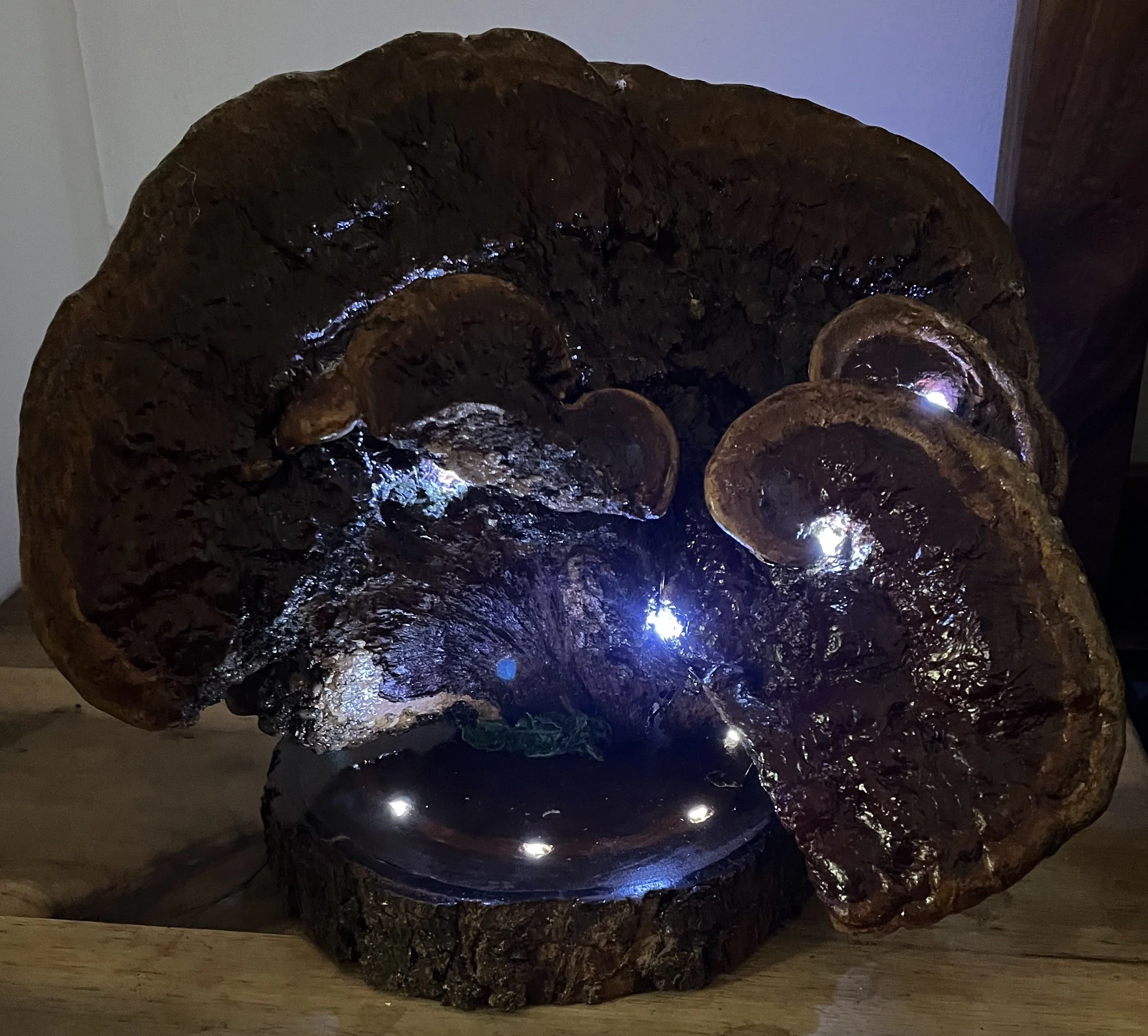 Reshi_Light.JPG