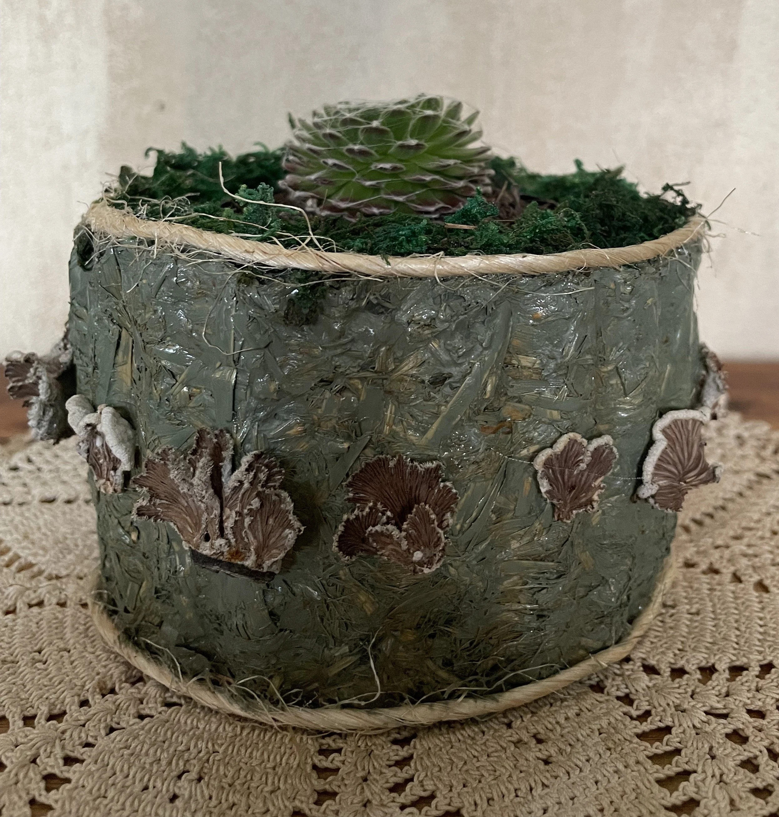 Mycellium Flowerpot.JPG