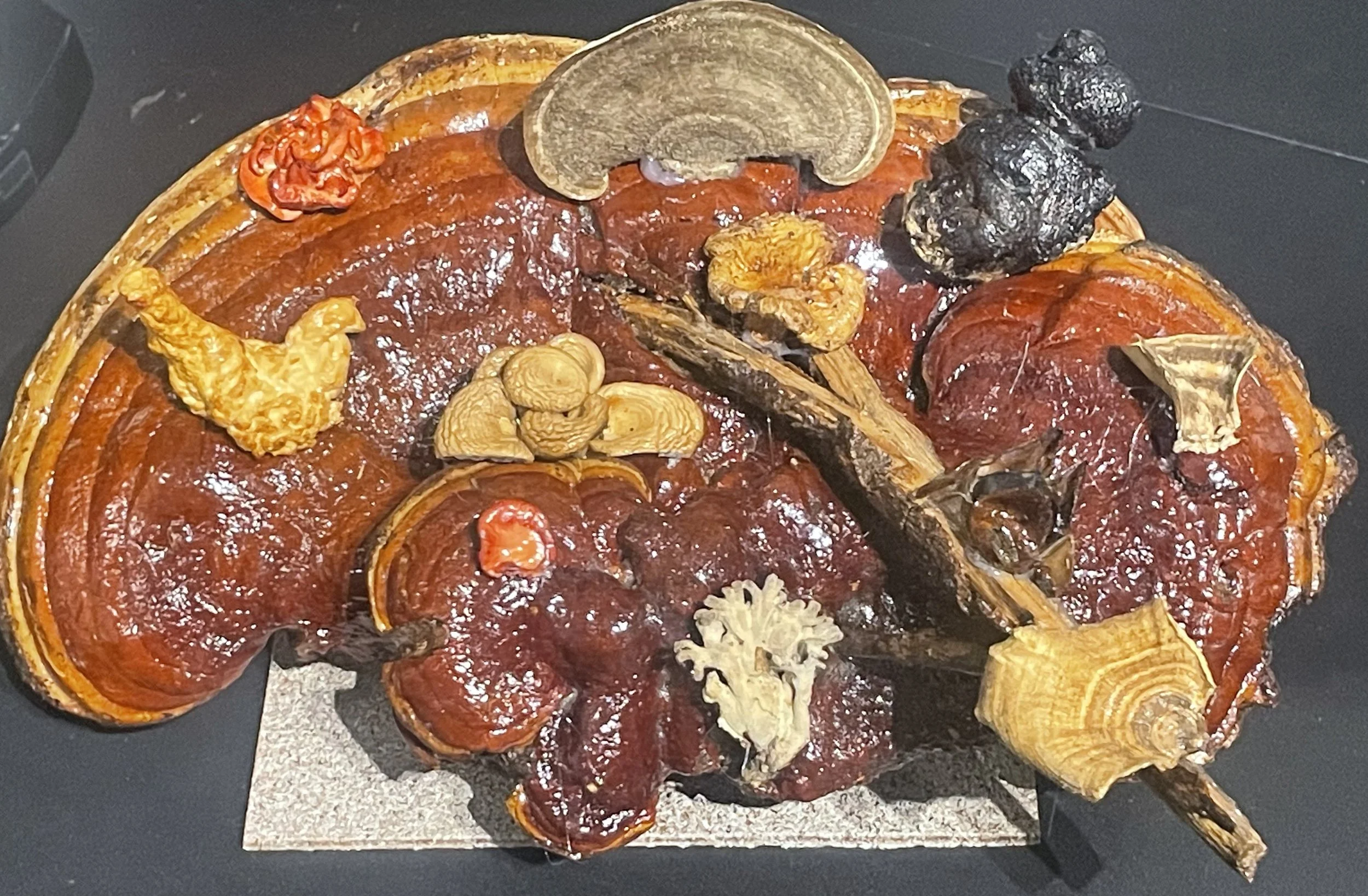 Mushroom Festival.JPG