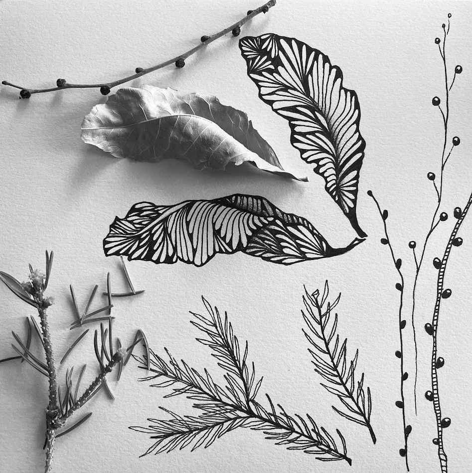 Creative Walks and Little Trash Objects