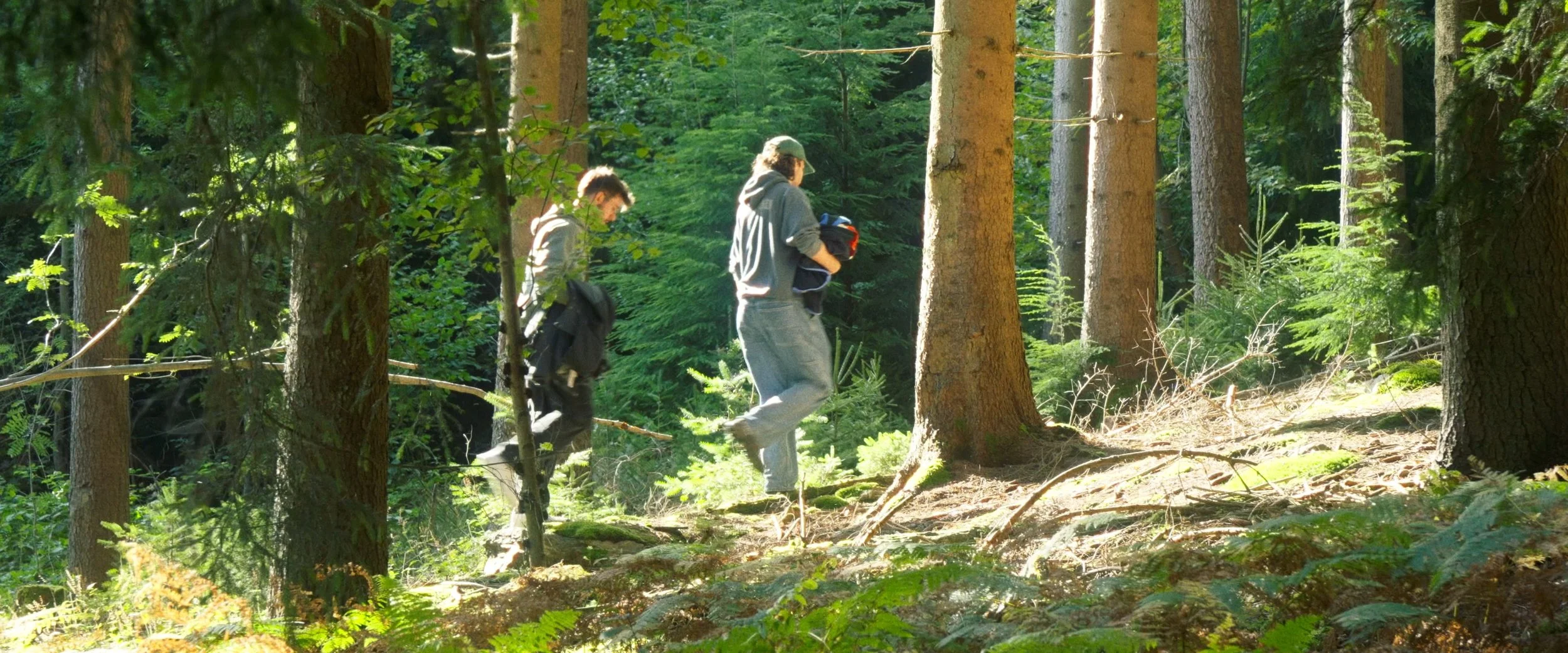 Still 2026-03-11 105117_6.1.5.jpg