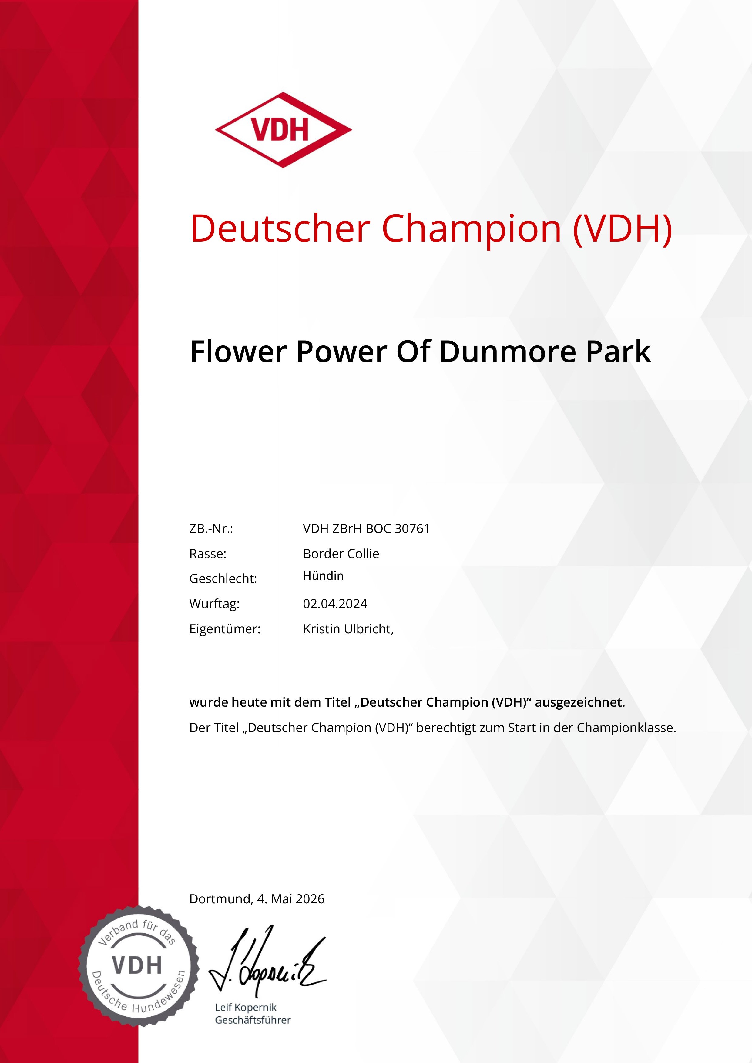 Flower Power of Dunmore Park Deutscher Champion (VDH).jpg