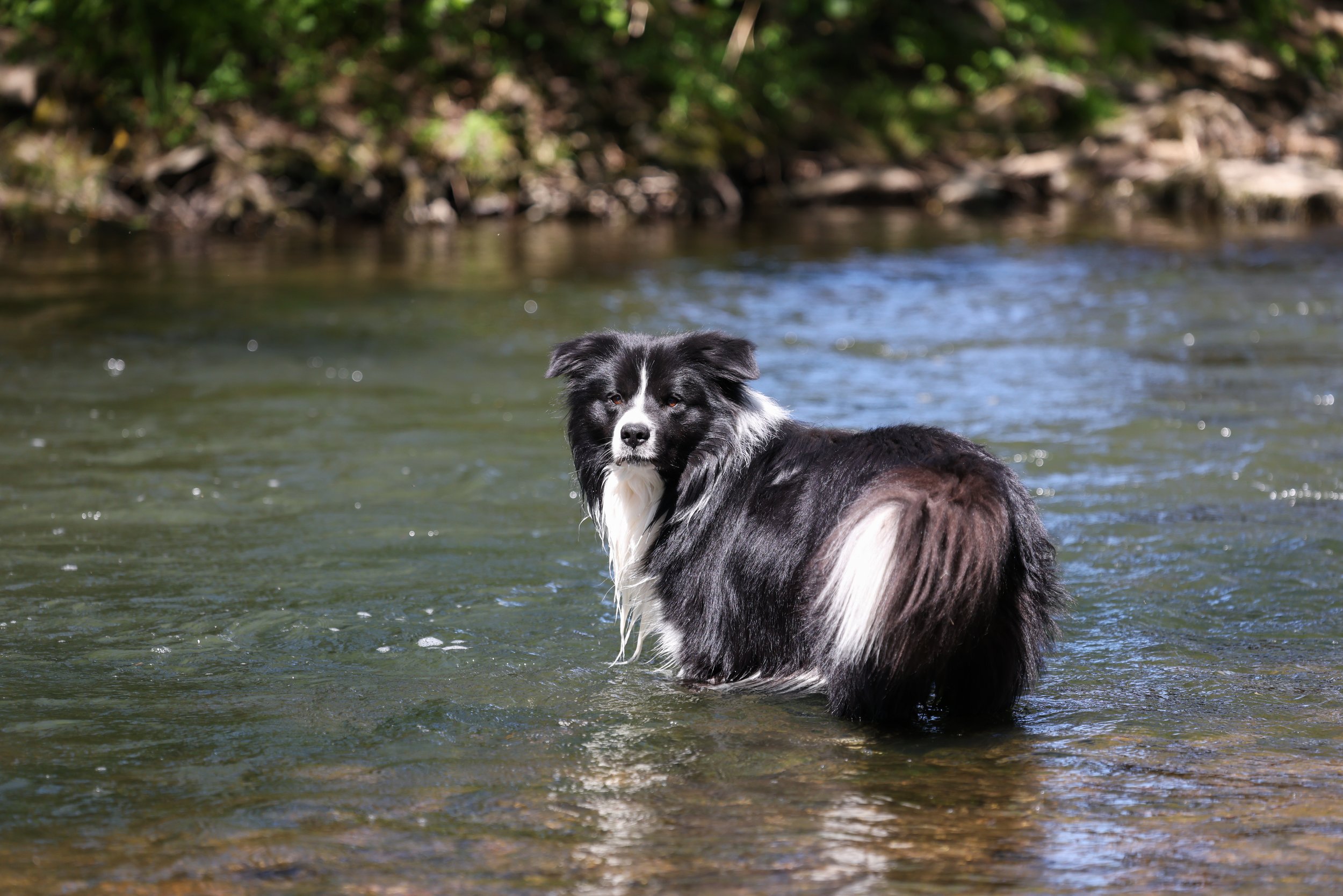 4Q5A9787-S.jpg