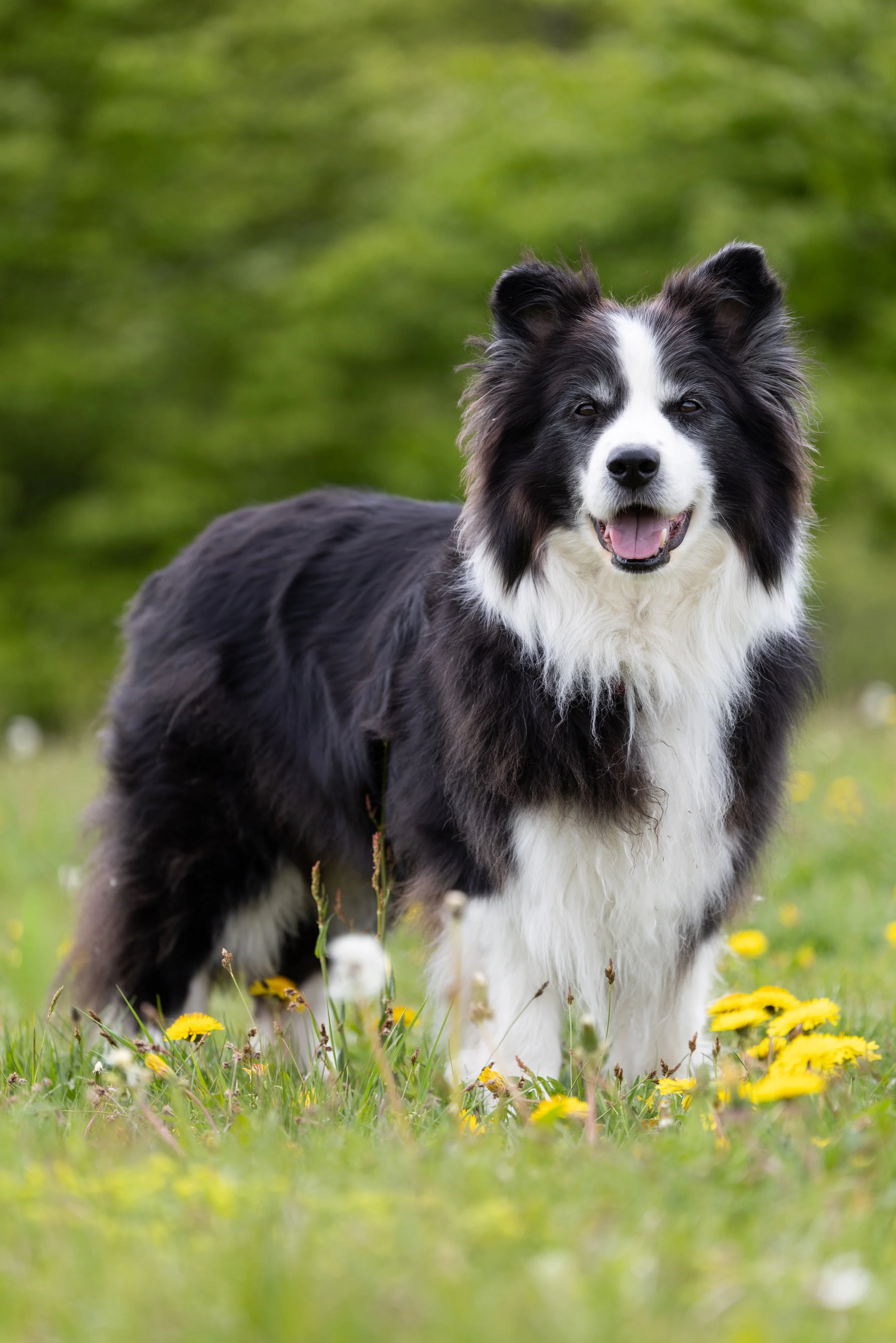 4Q5A0218-S.jpg