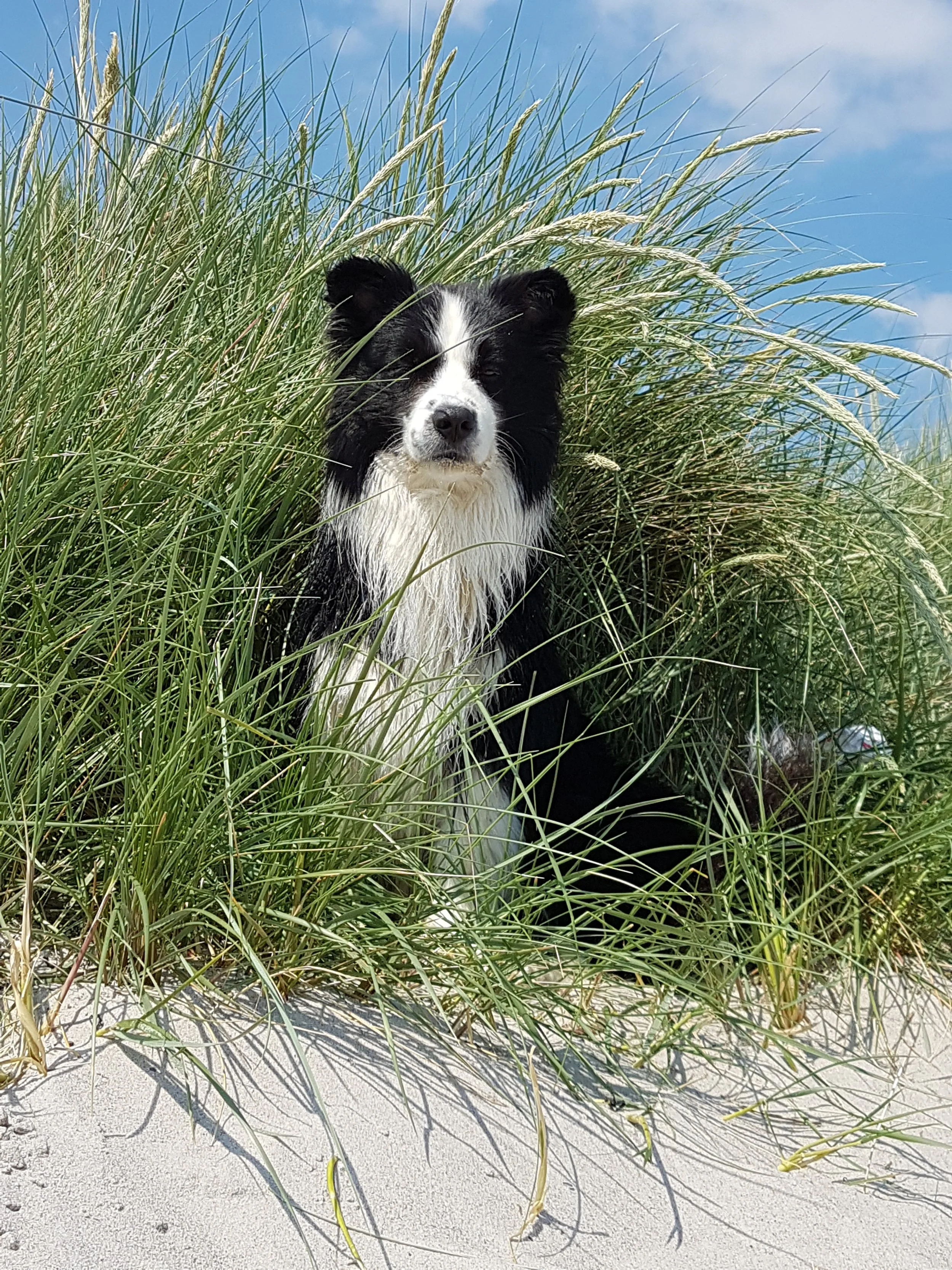 20170619_143407.jpg