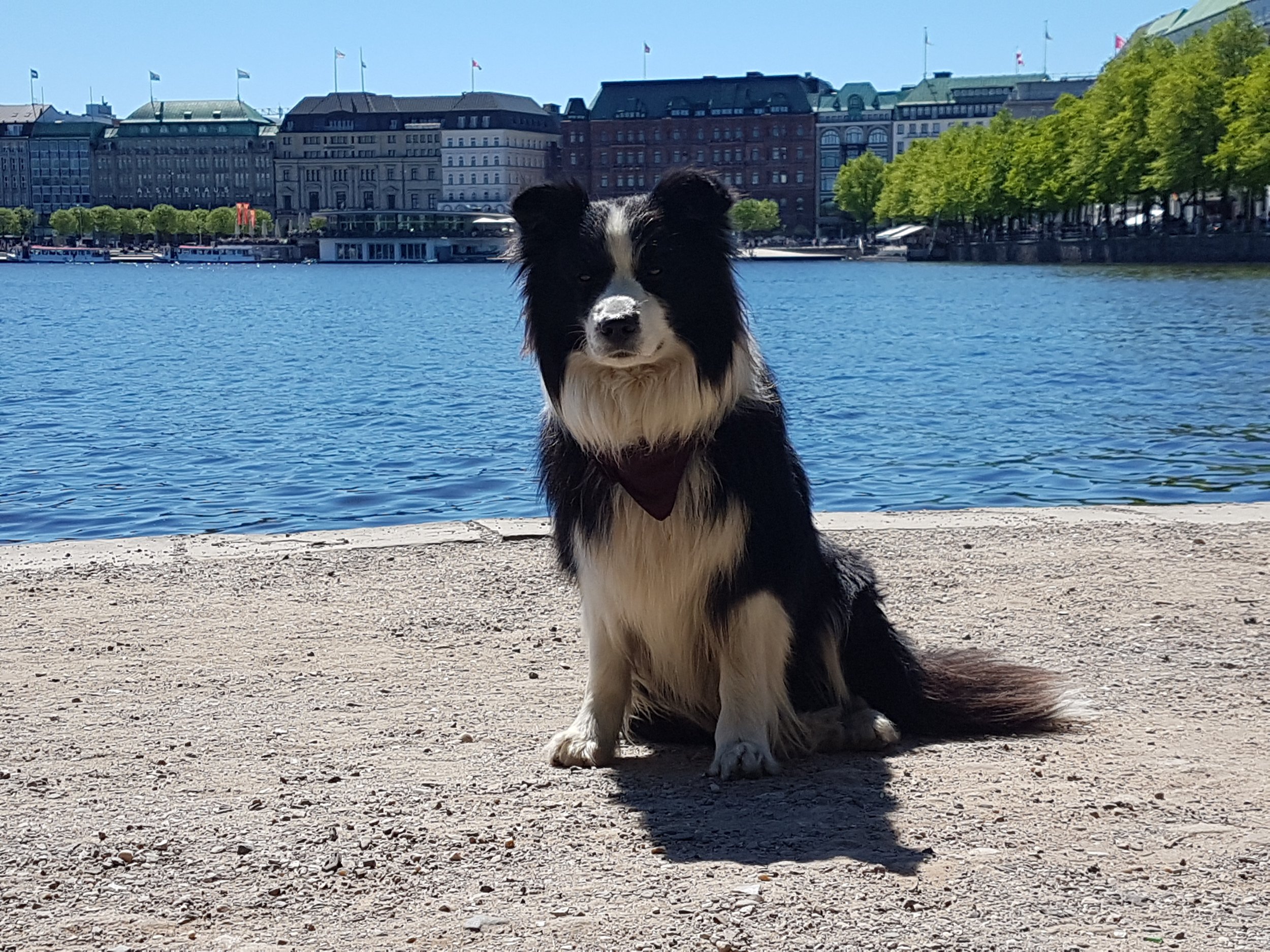 20180506_134419.jpg