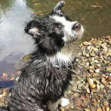FB_IMG_1774114434306.jpg