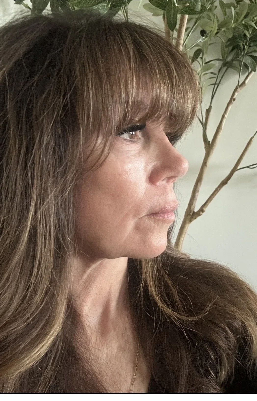 side view.jpg