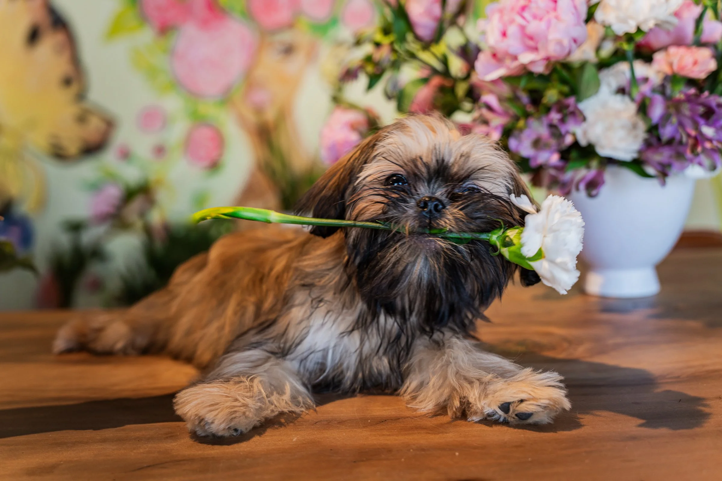 From Proposal to Petals: The Petaloso Process