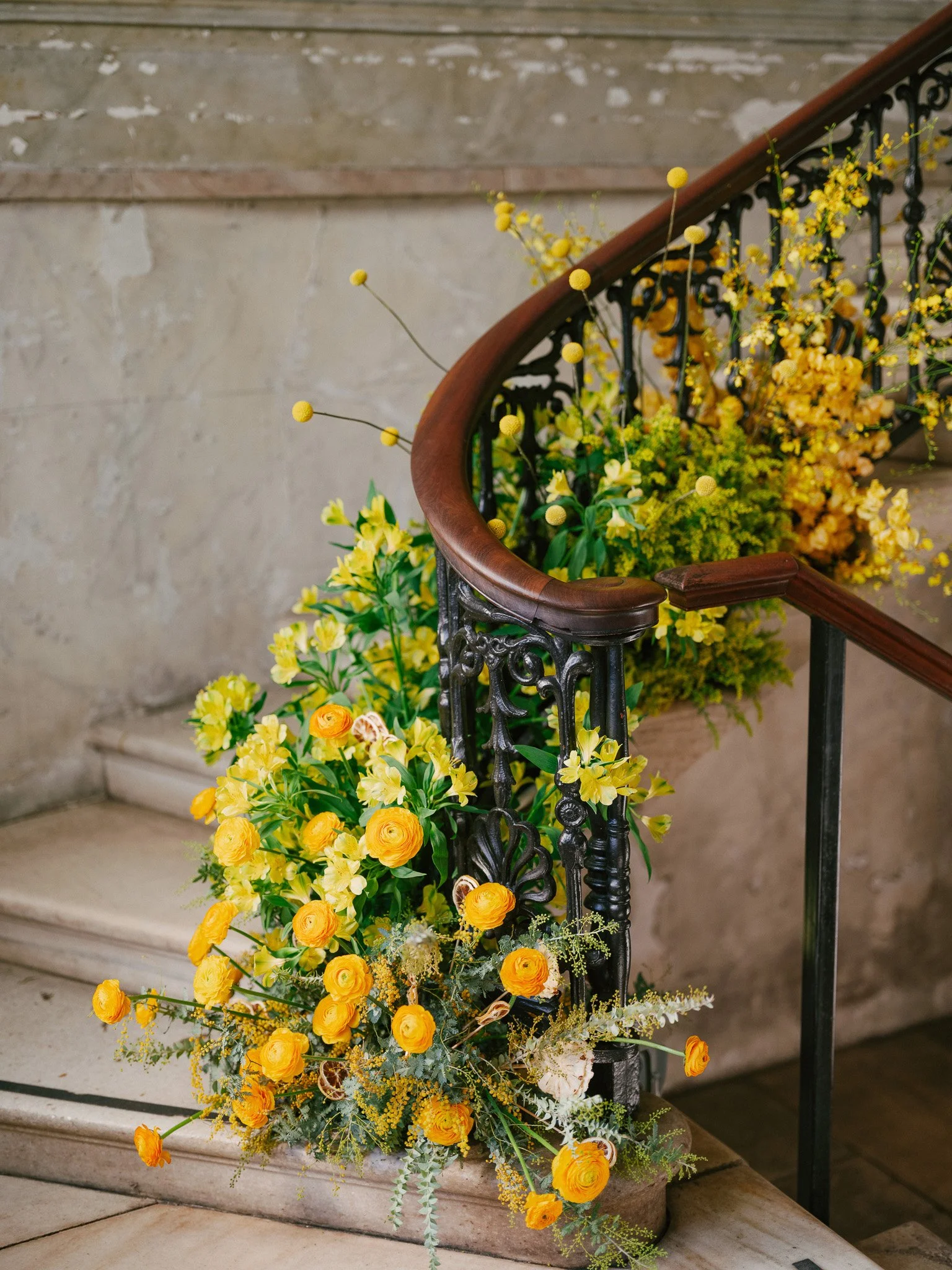 Anne Rhett Photography CXD 2024 WEB-109.jpg