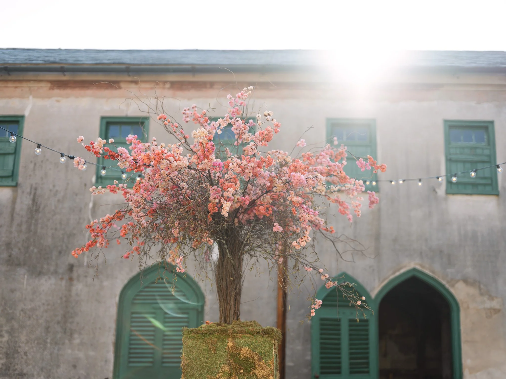 Anne Rhett Photography CXD 2024 WEB-117.jpg