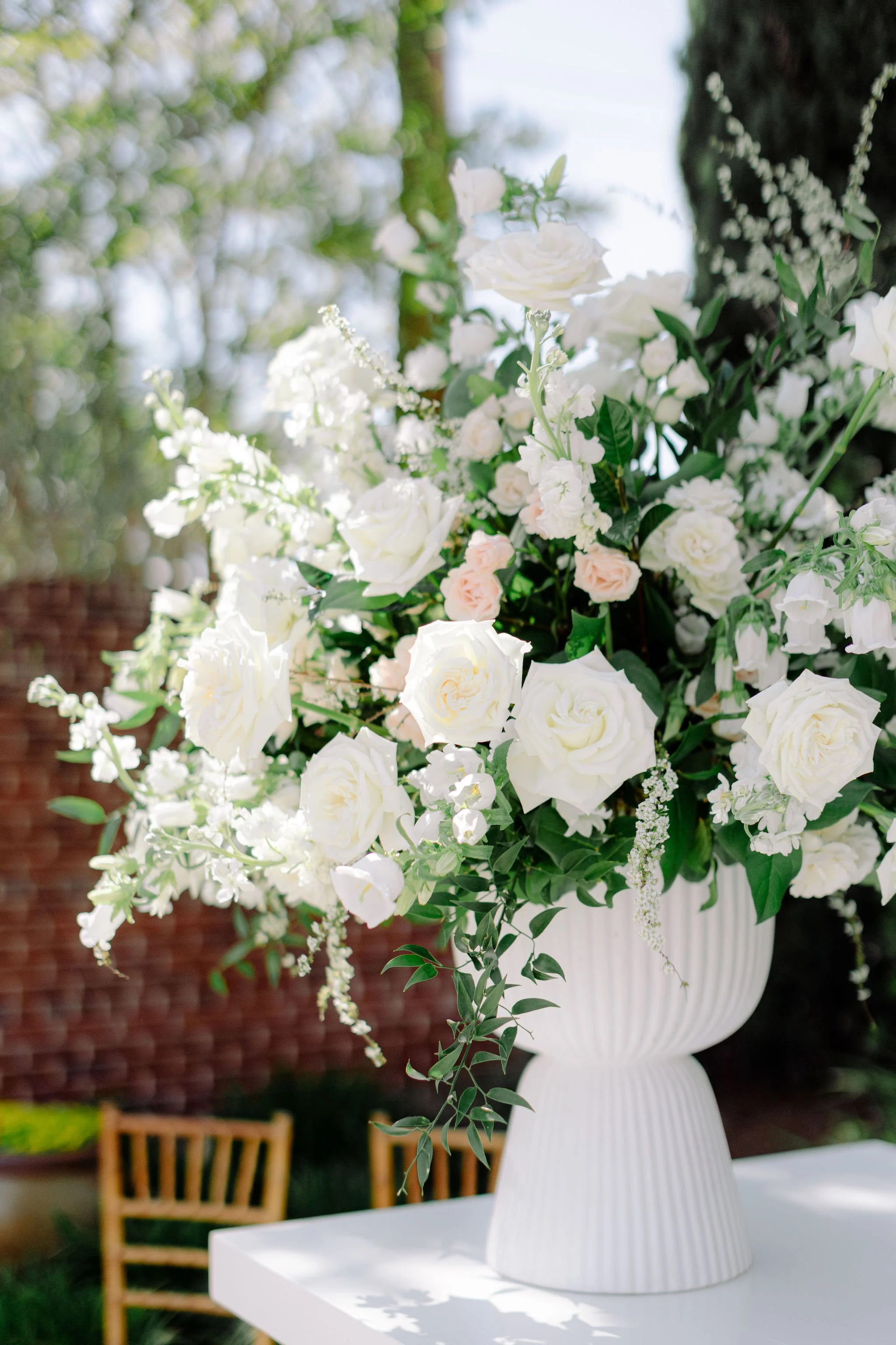 Photo Dec 12 2024, 10 49 48 PM (51).jpg