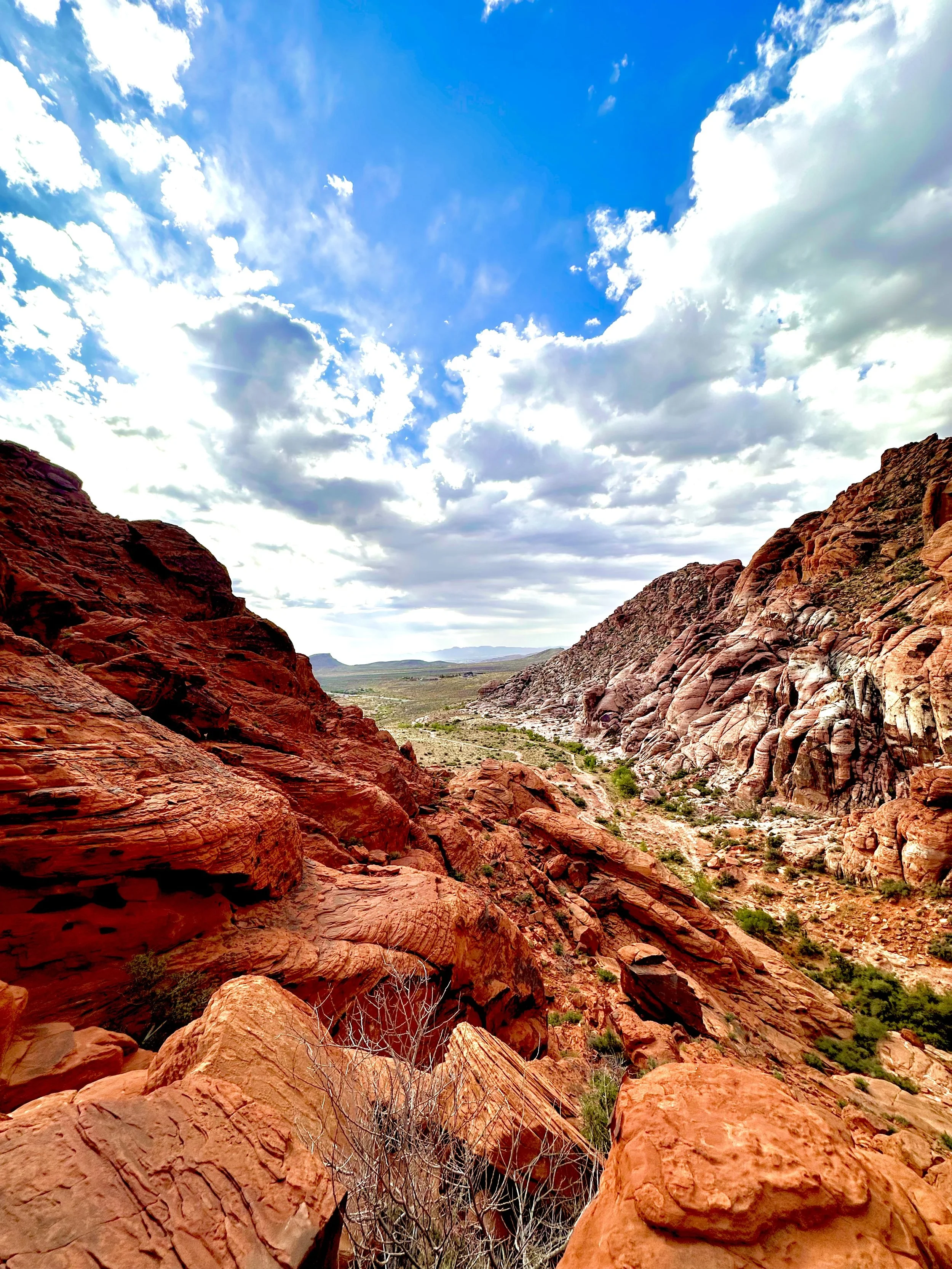 Landscape