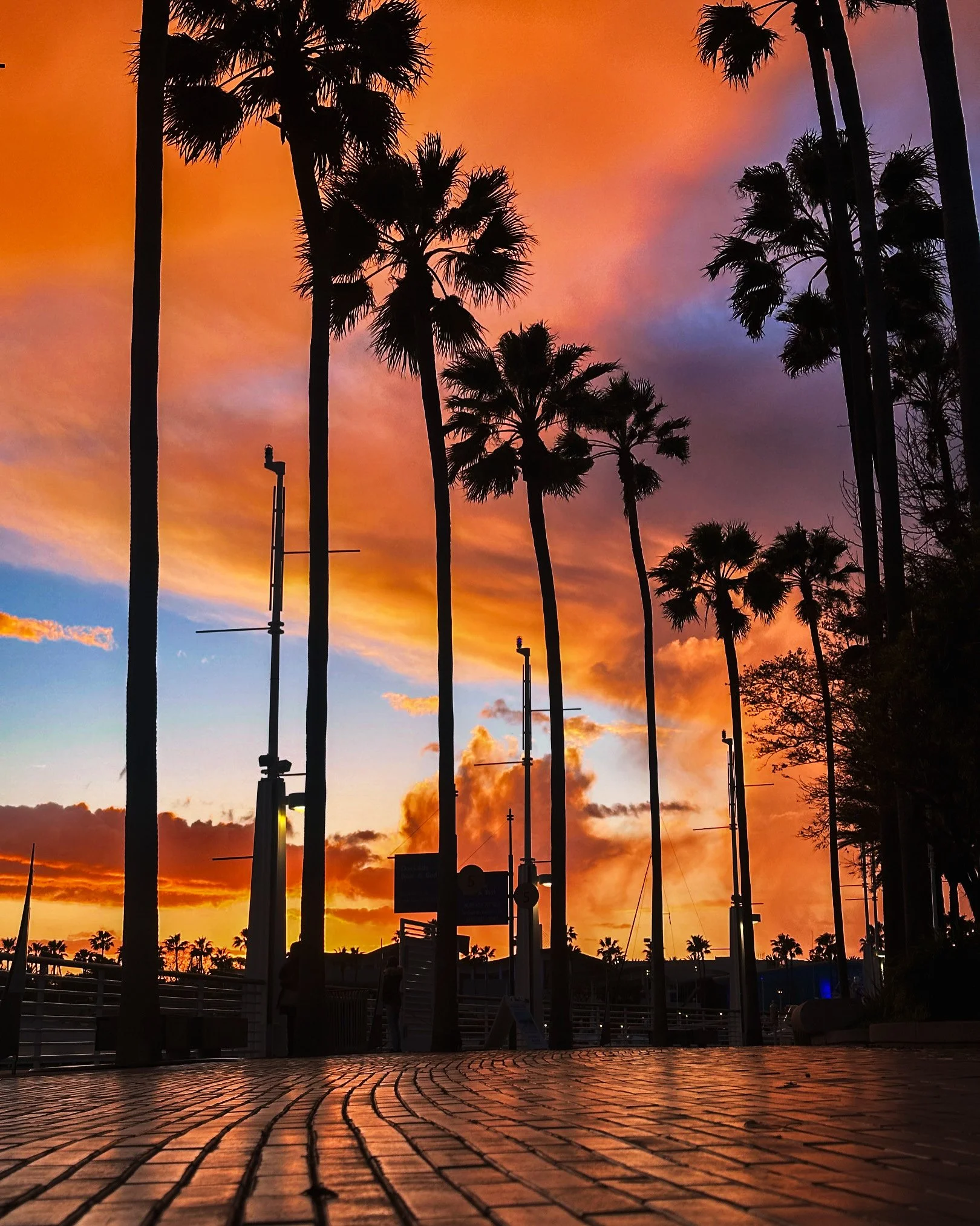 LongBeachHarborSunsetJPG.JPG