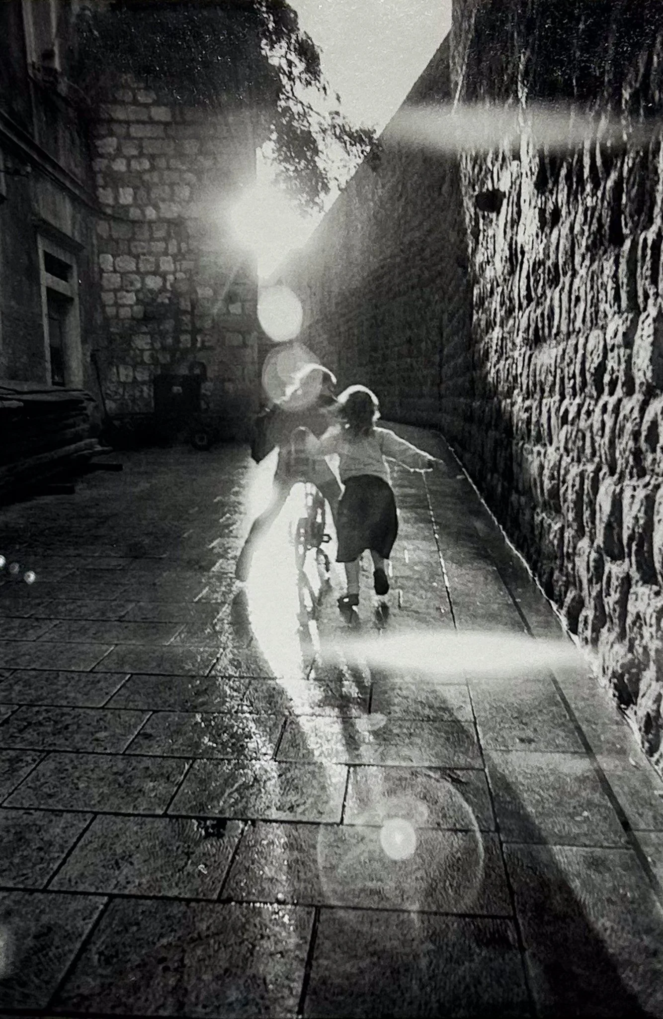 Untitled (Pavo Urban)